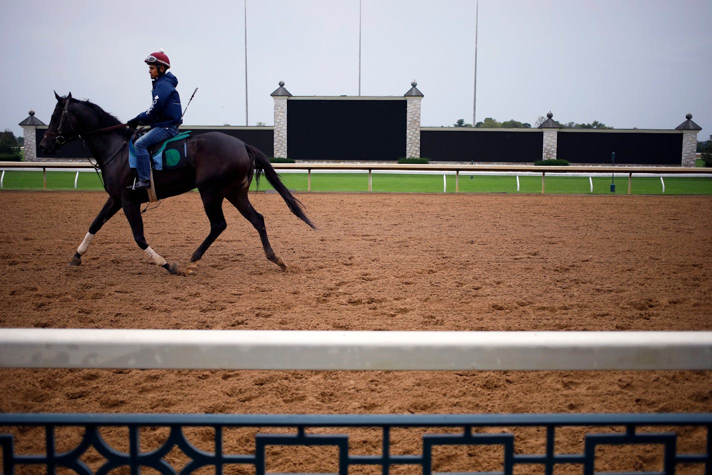 A racehorse is exercised at Keeneland's September Yearling Sale in Lexington, Ky., on Monday, Sept. 20, 2021. Traditional speculators, known as pinhookers, are now vying with online buyers looking to invest in thoroughbred horses. The new bidders are driving up prices.