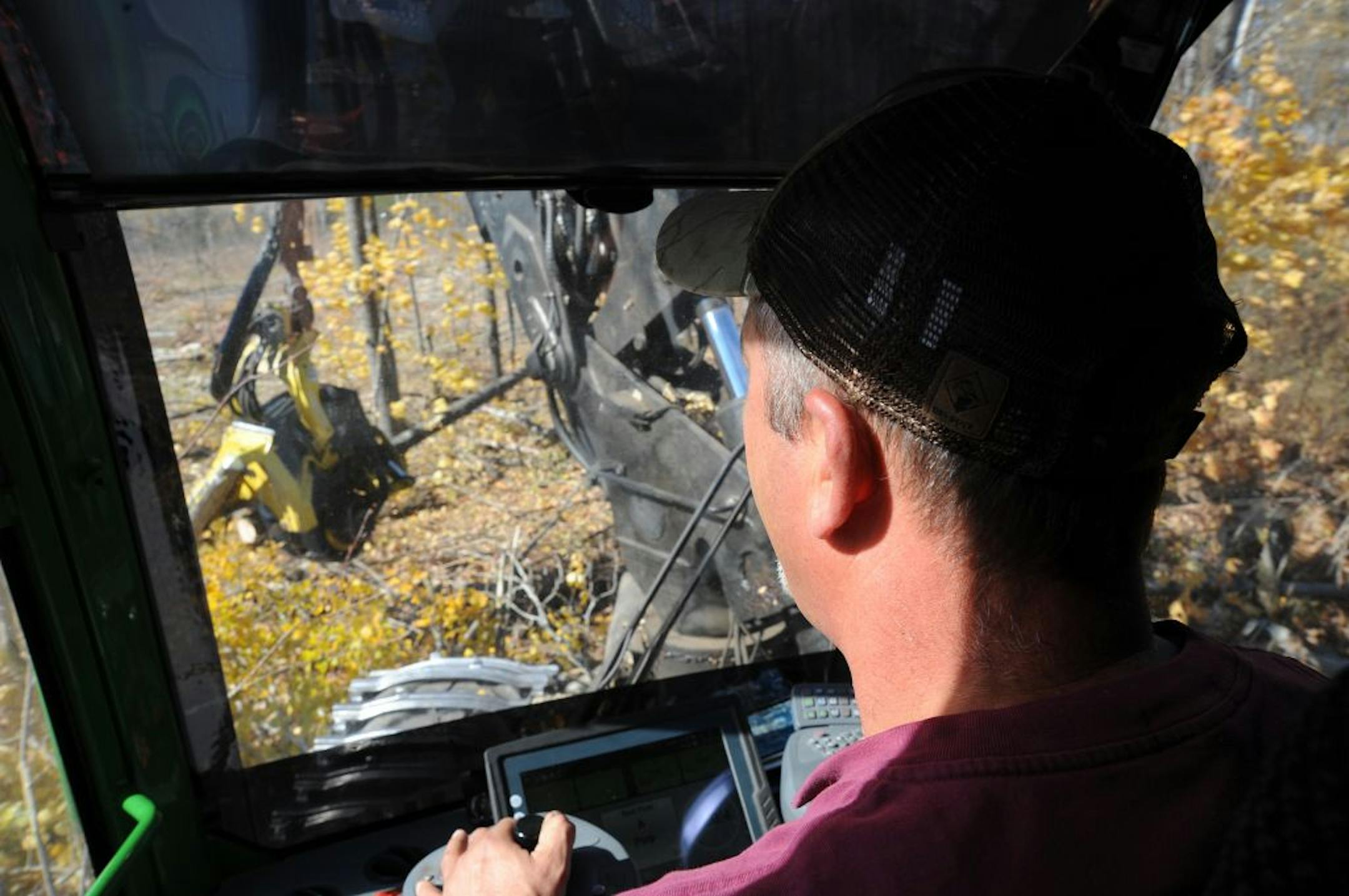 Scott Pittack, 44, was born into the logging business in northern Minnesota, but a drop in demand has led to the closing of some paper mills, leaving the future cloudy. Mills are looking hard at the chemical composition of wood, hunting for new ways to make use of an old product.