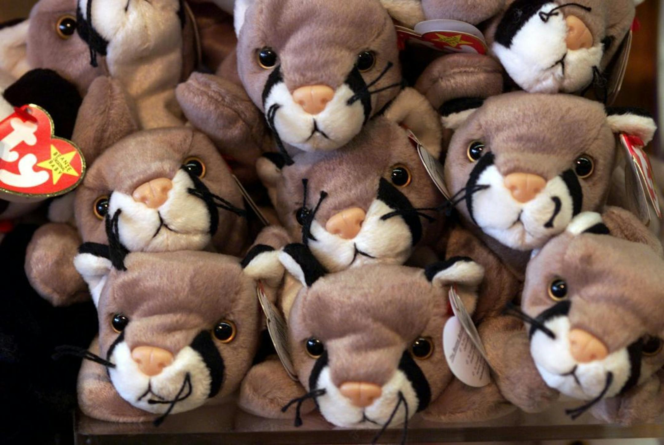 Minneapolis, MN 9/1/99 - Ty Inc, maker of Beanie Babies, announced on its Web site Monday that all Beanie Babies will be retired as of December 31. -- A pile of Beanie Babies sits in a display at The Toy Box, an Edina toy store. The toy has lost some of its popularity lately, leading some merchants to speculate that the recent announcement by Ty Inc is merely a marketing ploy, intended to increase profits. The company also makes Beanie Buddies and Pillow Pals.