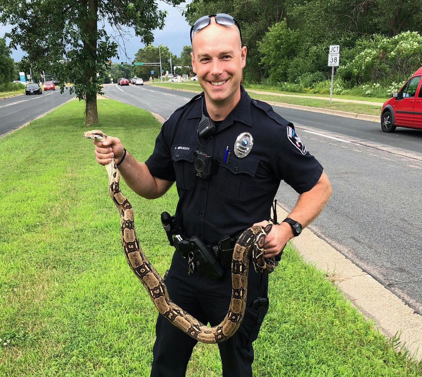 A Colombian red tail boa constrictor was found in the median of Nicollet Avenue near McAndrews Road in Burnsville Monday.