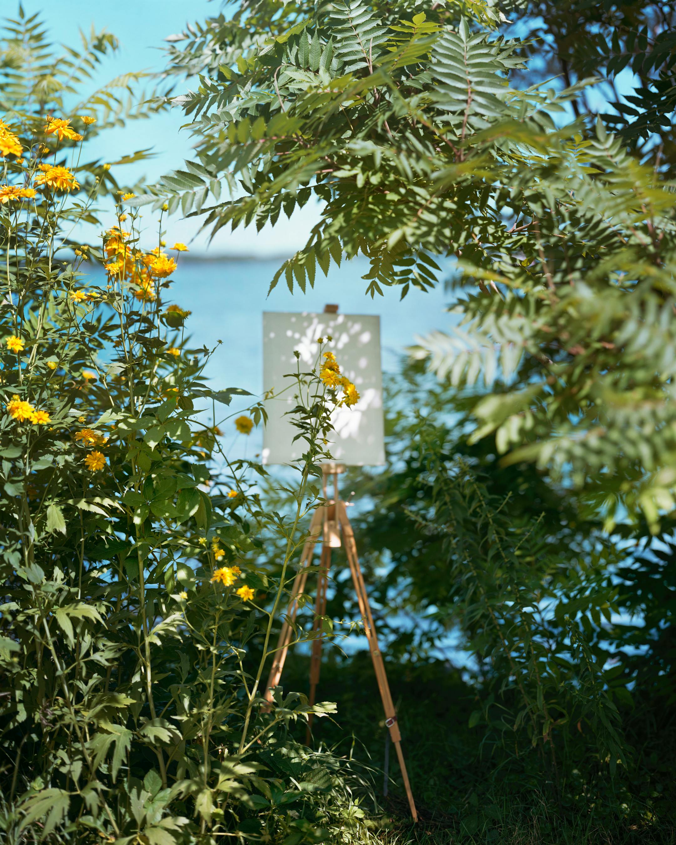 Alec Soth (American, born 1969) White Bear Lake, Minnesota, 2019 Signed on verso Archival pigment print 40 x 32 inches, image size Edition of 9 plus 4 artist's proofs