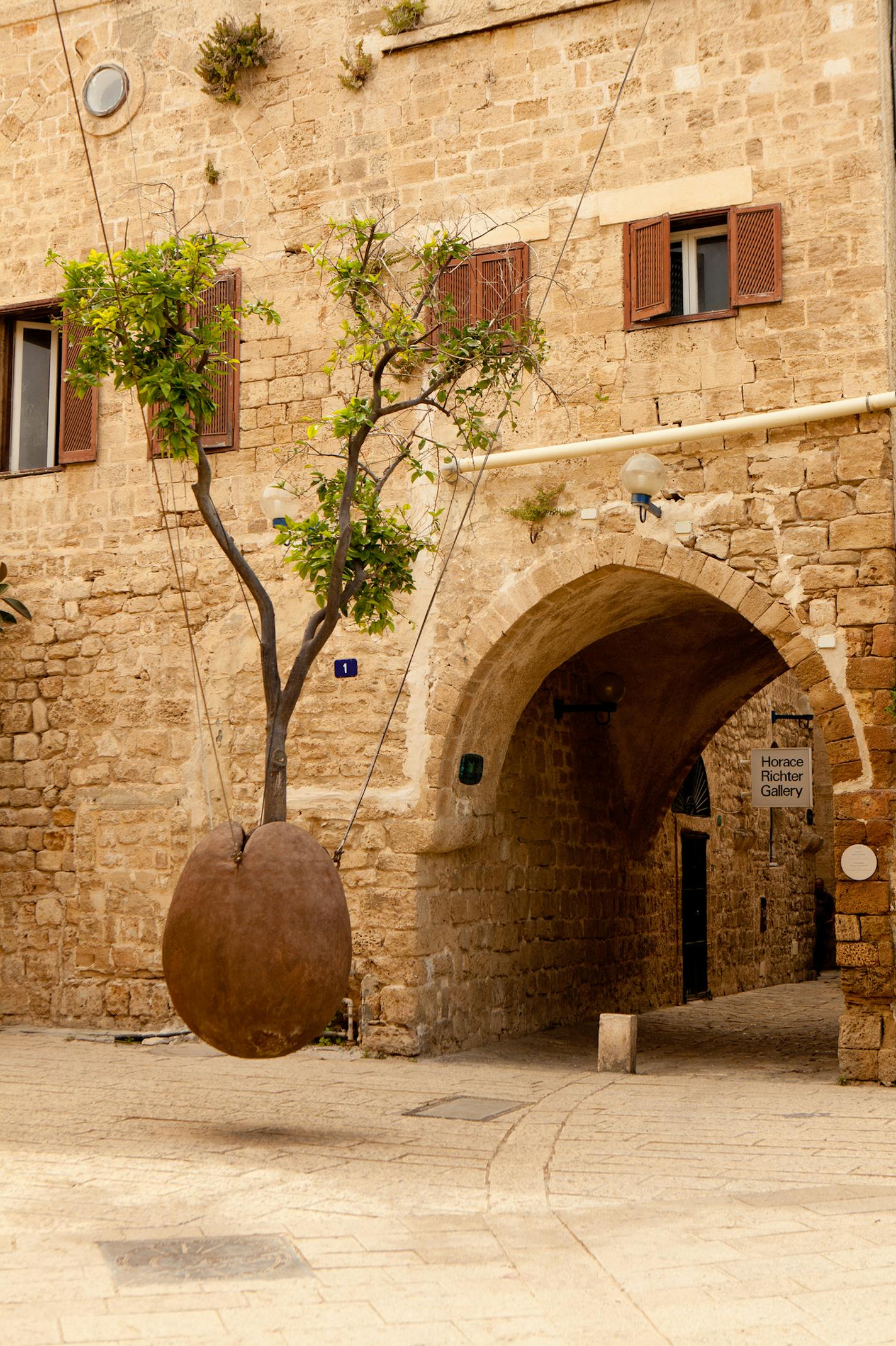 A floating orange tree in Jaffa, Israel. Photo taken by Dana Friedlander for the Israeli Ministry of Tourism