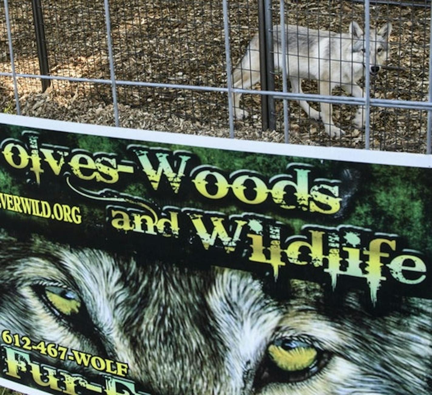 A national group and a California wolf sanctuary filed a lawsuit Sept. 29 seeking to block Fur-Ever Wild of Lakeville from killing grey wolves. The group had a booth at Dakota County Fair in August after being barred the two previous years.