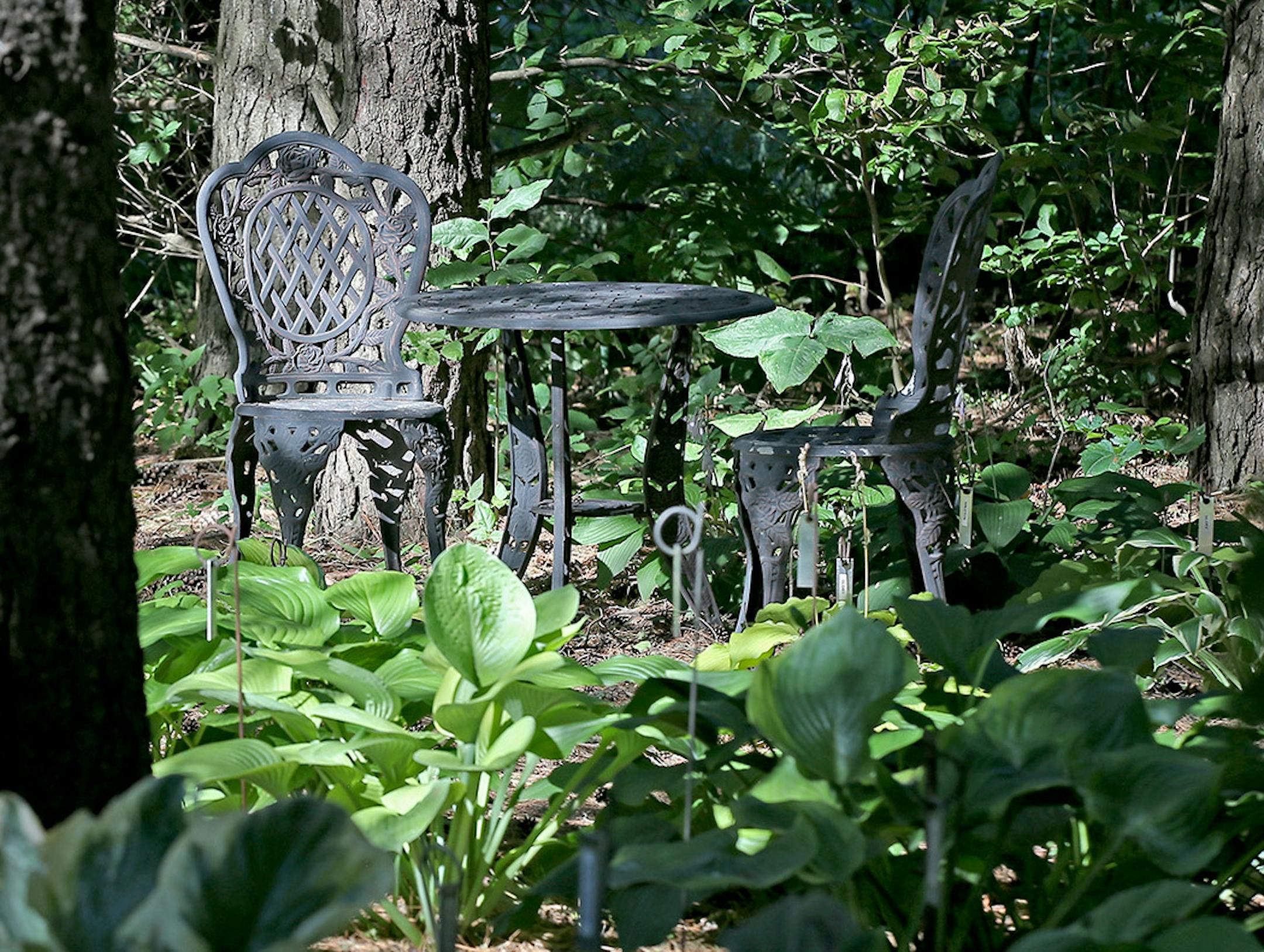 Kathy and Mike Pedersen's garden in Shakopee.
