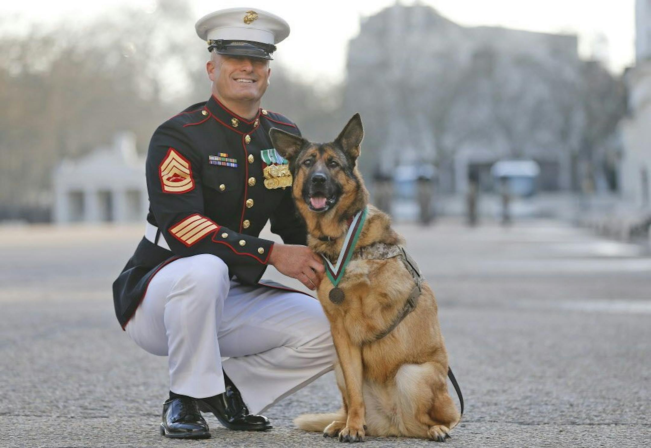Gunnery sergeant Christopher Willingham, of Tuscaloosa, Alabama, poses with US Marine dog Lucca, after receiving the PDSA Dickin Medal, awarded for animal bravery, equivalent of the Victoria Cross, at Wellington Barracks in London, Tuesday, April 5, 2016.