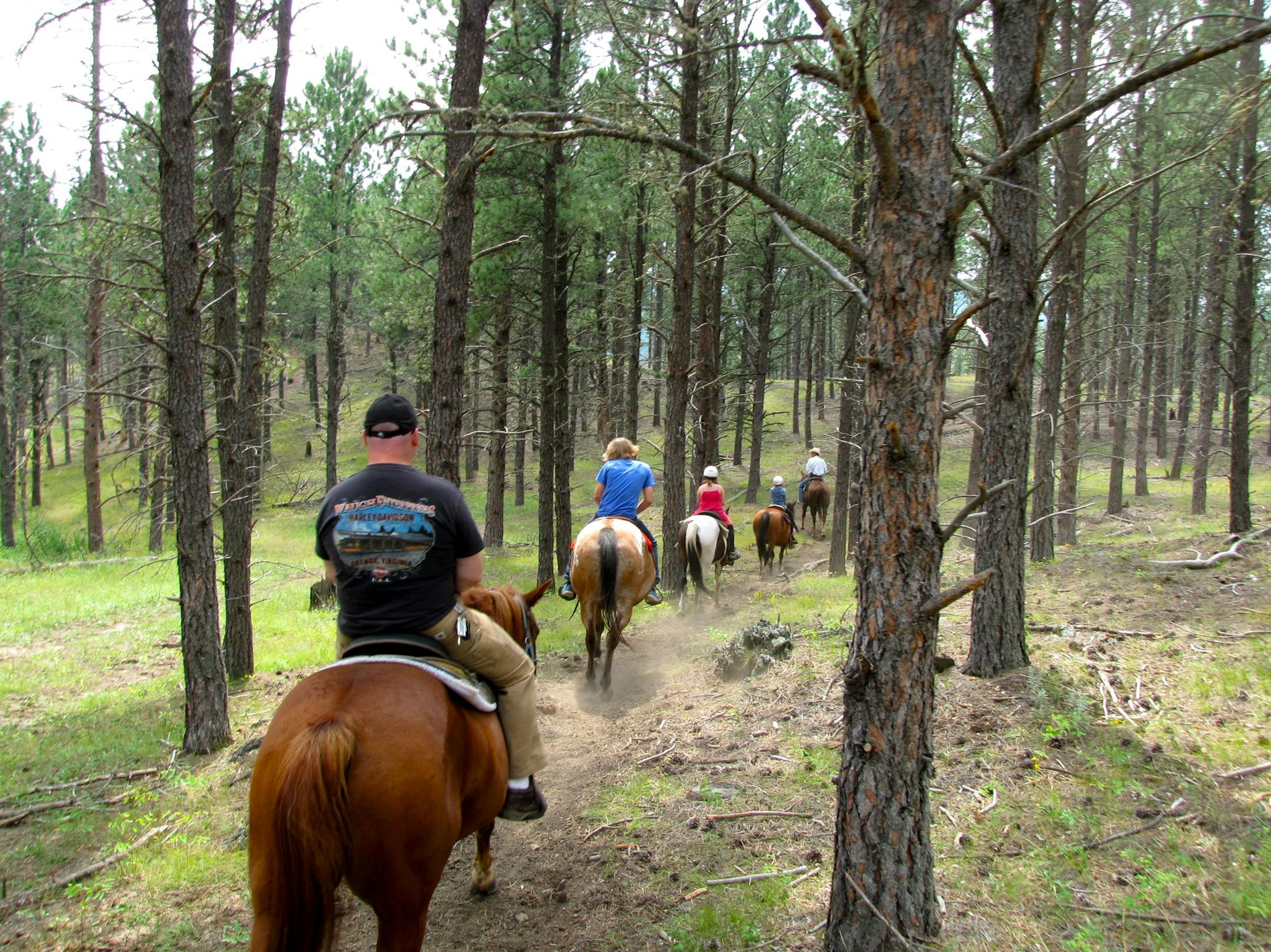 High Country Guest Ranch trail rides head into the surrounding Black Hills National Forest.