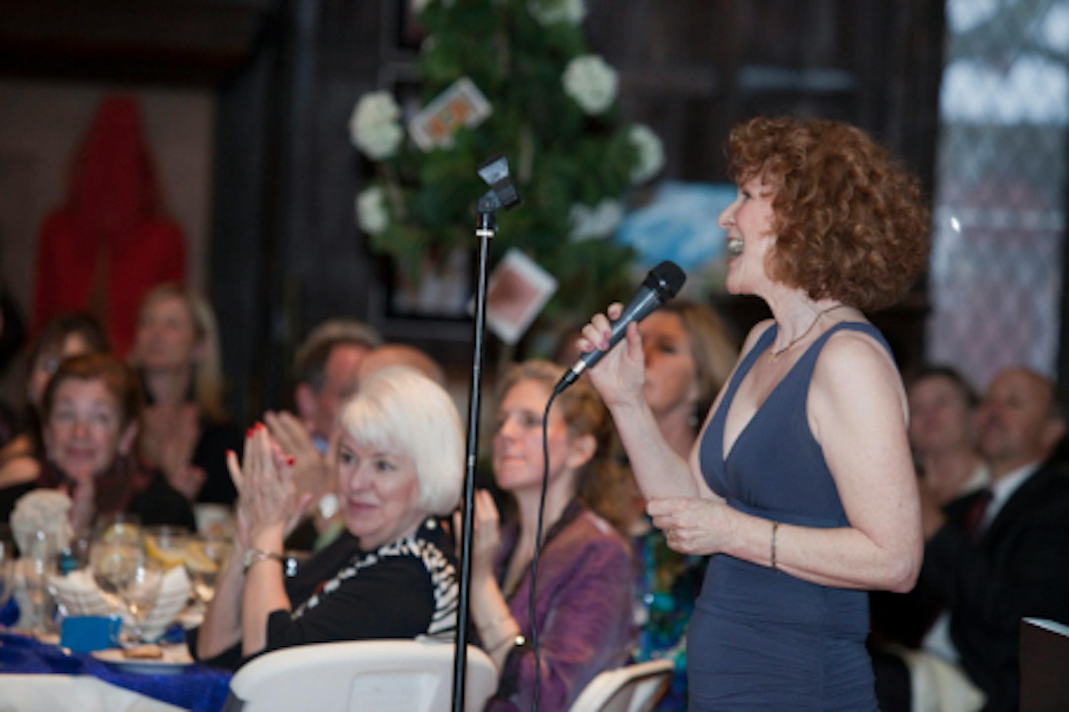 Park Square fundraiser @ Dove HIll