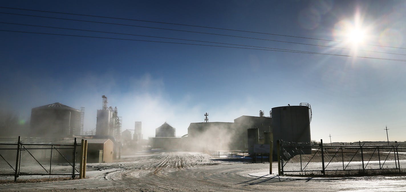 Steam from operations shrouded the Buffalo Lake Advanced Biofuels plant in Buffalo Lake, Minn., last year. The plant ceased production in January because of tough market conditions.