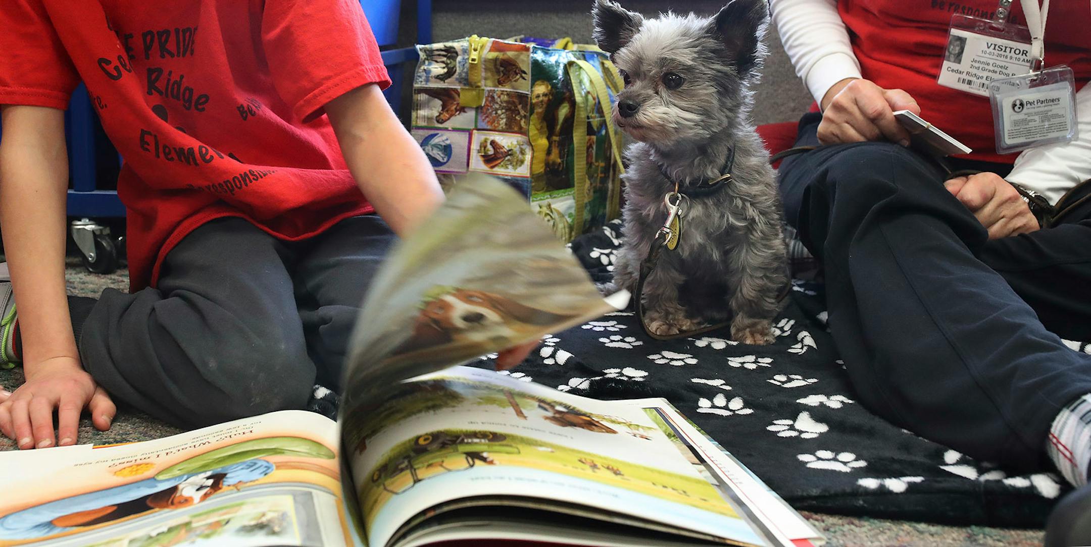 Luca Juola 7, read to Taz a therapy dog, and his owner Jennie Goelz at Cedar Ridge Elementary School Monday October 30,2017 in Eden Prairie, MN.