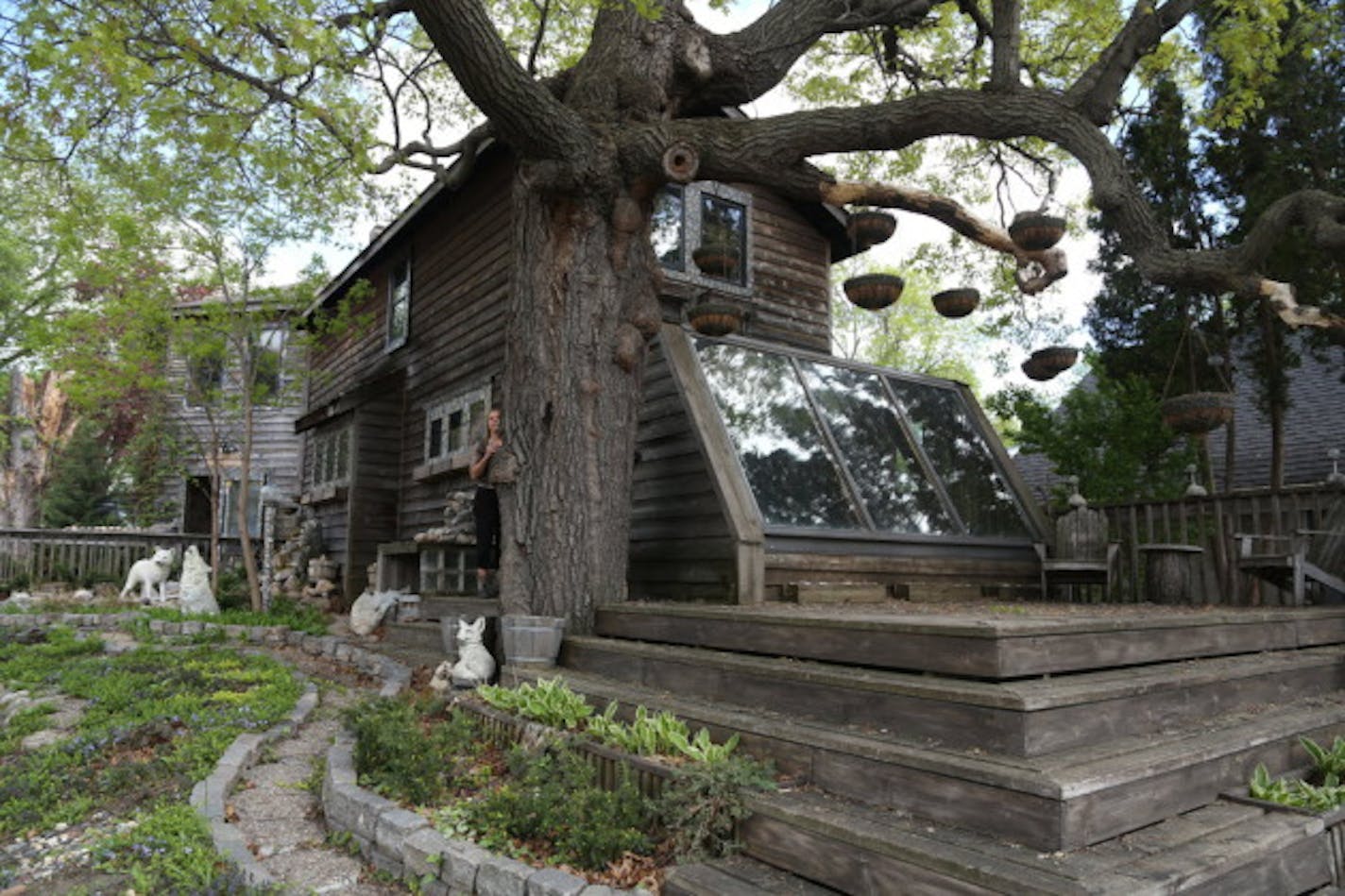 No grass; only plantings and stone surround Lauri Svedberg's home.