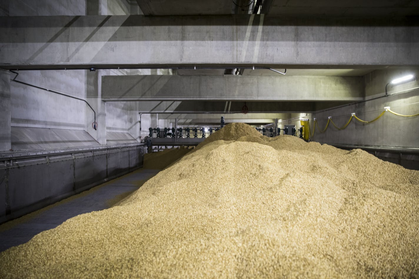 The new $68 million malthouse at Rahr Malting Co., a family-owned production facility in Shakopee, on Tuesday, November 15, 2016, in Shakopee, Minn. ] RENEE JONES SCHNEIDER &#x2022; renee.jones@startribune.com