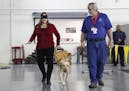 Ginger Auten, Human Resources manager and administration, left, walks blindfolded with Coco and trainer Mike Toger during a Harness the Power of Leade