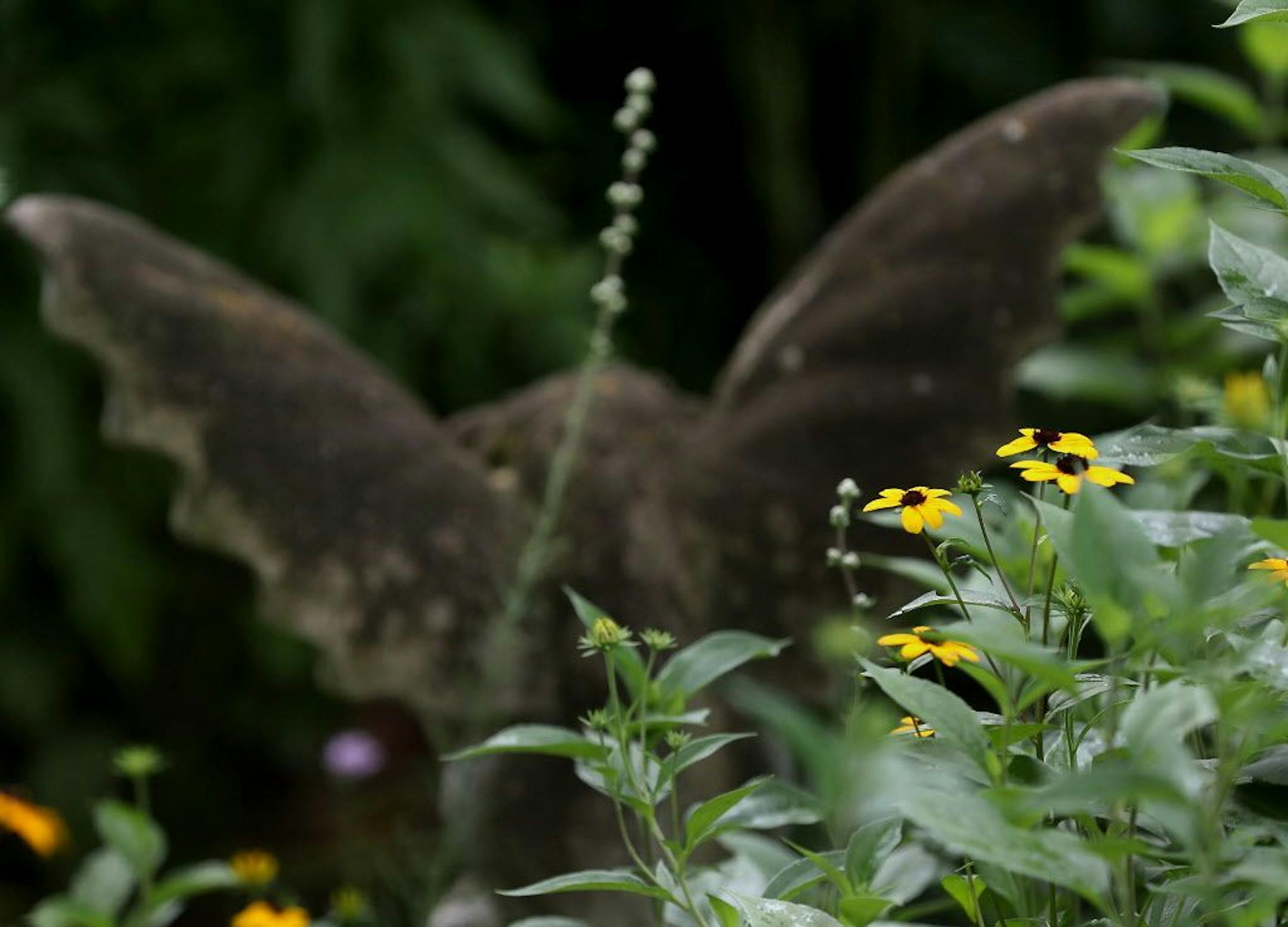 Black-eyed Susans and a gargoyle.