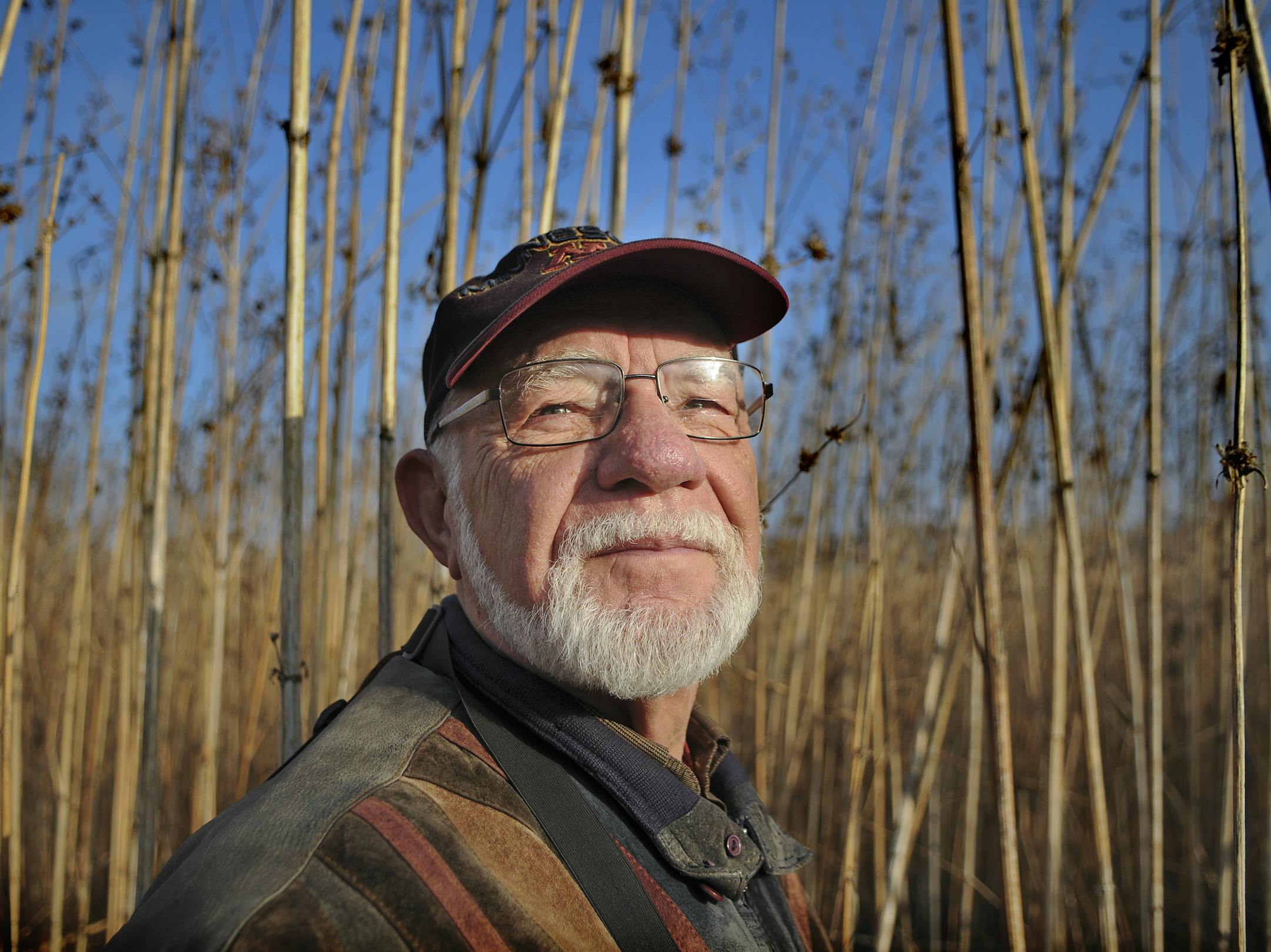 Bob Janssen has been trudging into Painter's Marsh near Lake Minnetonka to search for birds. Some of the birds he's seen - sandhill cranes, black terns and red-shouldered hawks - are rarely spotted in the greater metro area. Janssen is chronicling the birds to help the Minnehaha Creek Watershed District with a habitat improvement project. ] Richard.Sennott@startribune.com Richard Sennott/Star Tribune. Minnetrista Minn.Tuesday 11/23/11) ** Bob Janssen (cq)