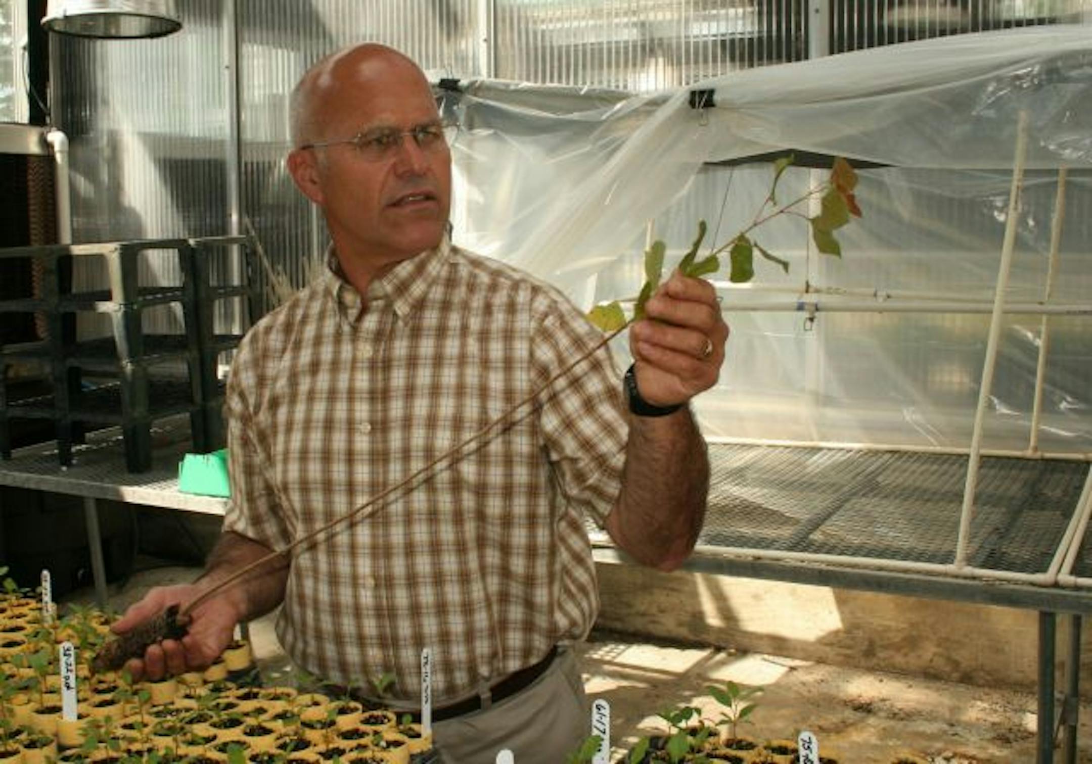 University of Minnesota Duluth (UMD) scientist Tom Levar has developed a way to protect plants from browsing by deer and mice by delivering a natural hot pepper concentrate through the roots of young plants, making them inedible.