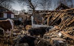 Remnants of a farm targeted by a Russian strike at a frontline position in Kyiv, Ukraine, March 24. 