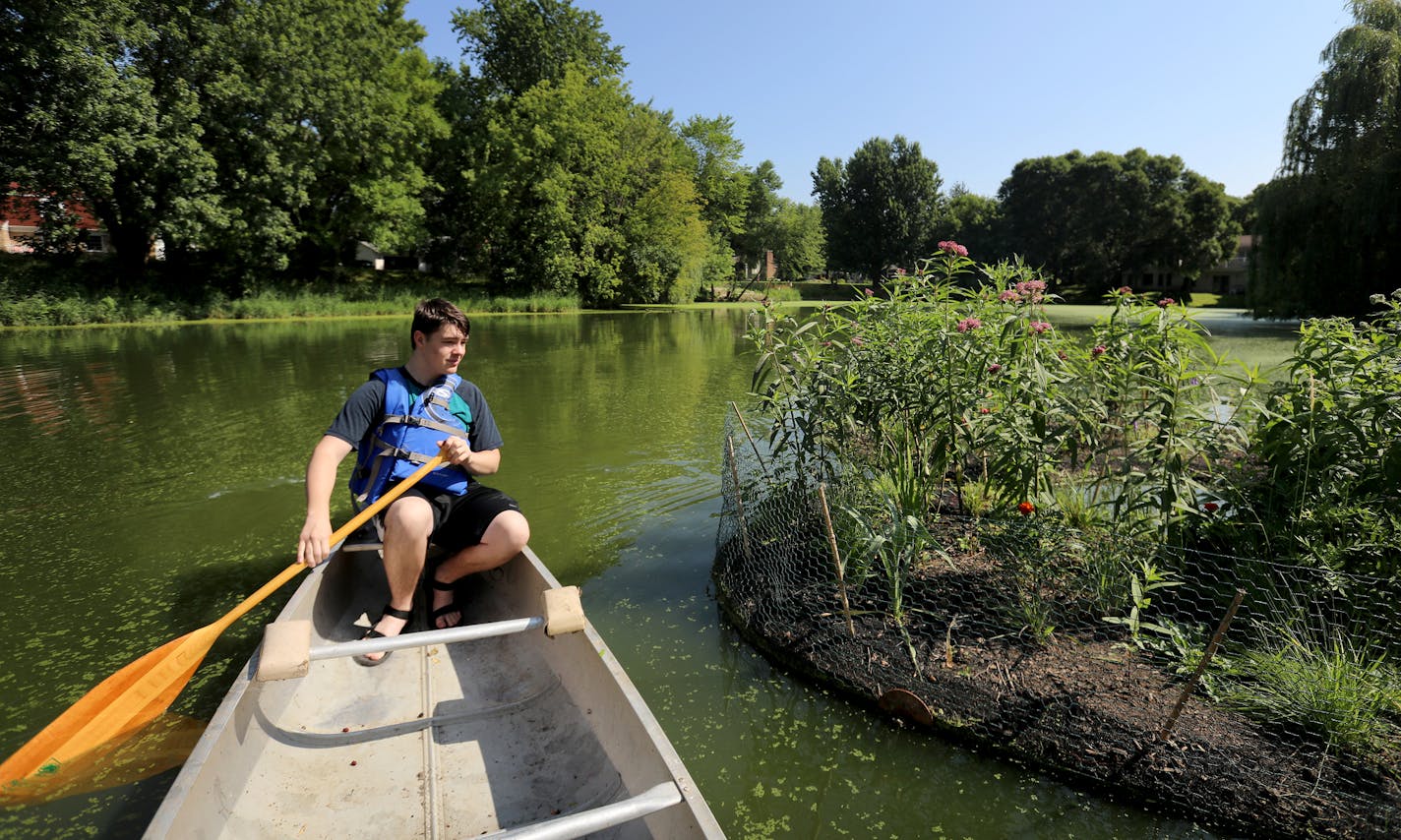 Bloomington resident Nick Niziolek, 17, canoed past a "floating island," in Winchester Pond, steps from his family's residence. The Niziolek family and neighbors undertook the task to clean up the pond and surrounding land and was seen Wednesday, July 23, 2019, in Bloomington, MN.