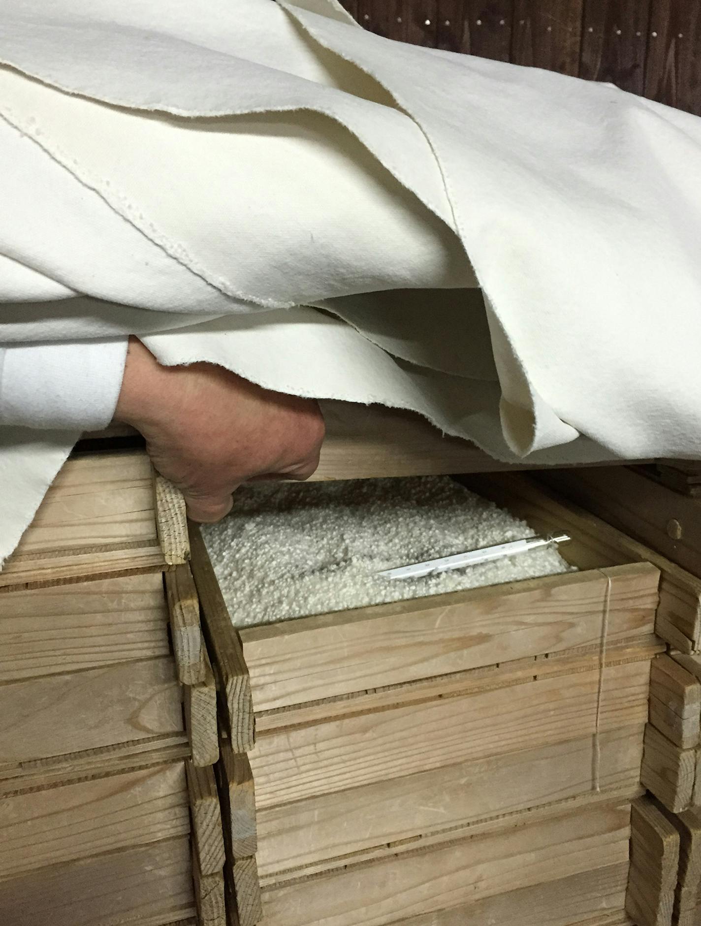 The koji is kept warm and protected with cloth sheets.