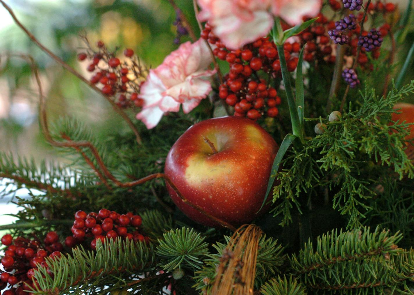 Berries and greenery from your back yard can form the base for a holiday display.