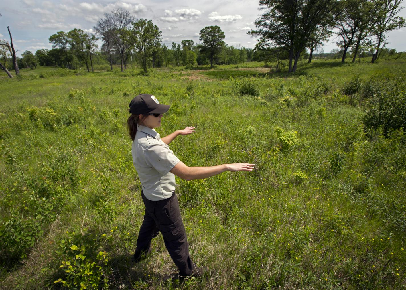 Caitlin Smith, a biologist with the U.S. Fish and Wildlife Service, looked over a recently converted parcel north of New Richmond Wis. Once covered in trees and brush, it&#x2019;s been logged and burned to bring back a flowering landscape better suited to monarchs.