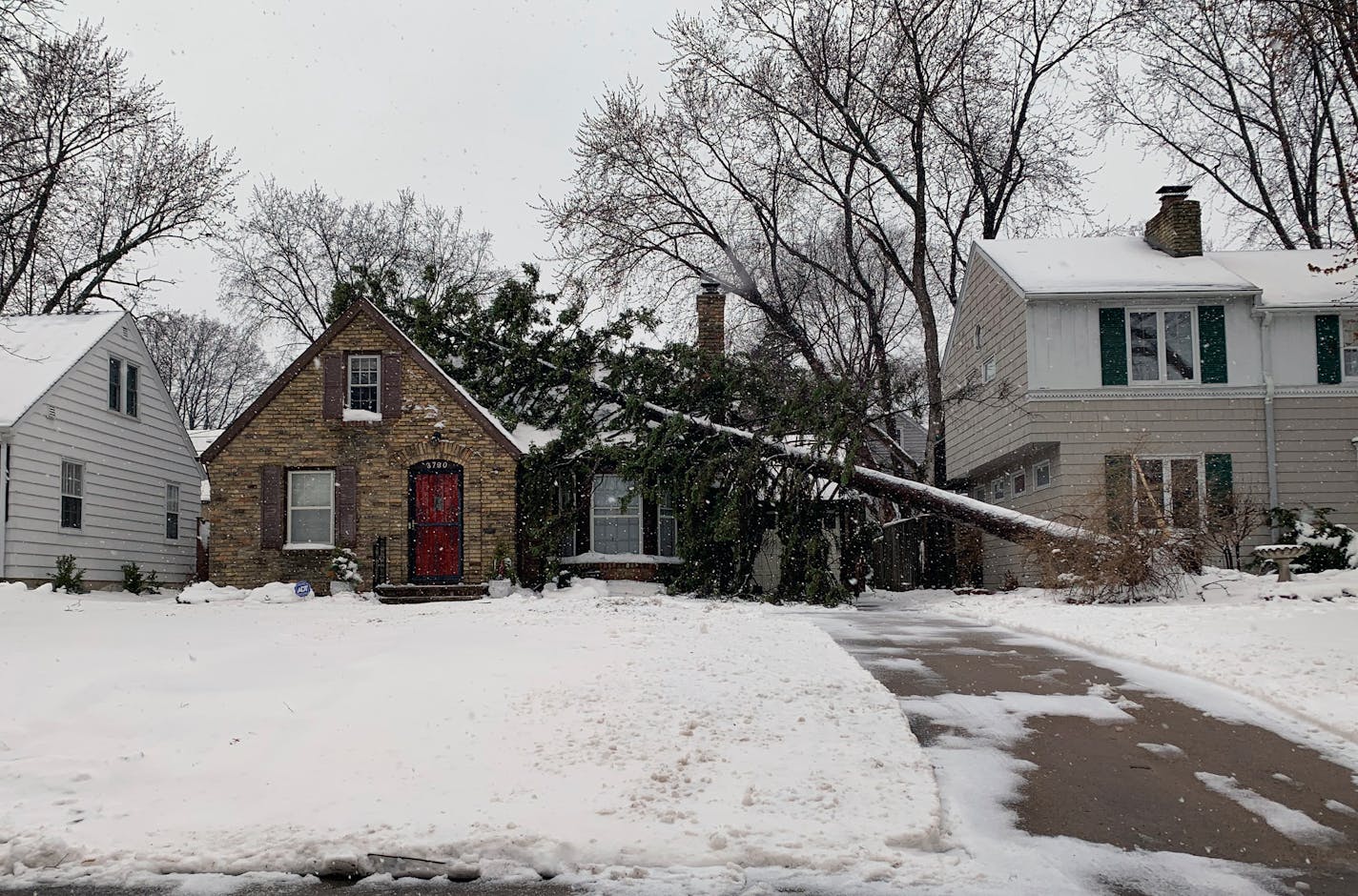 A tree at 37th Street and S. France Avenue in Edina toppled onto a house after the heavy snow Thursday.