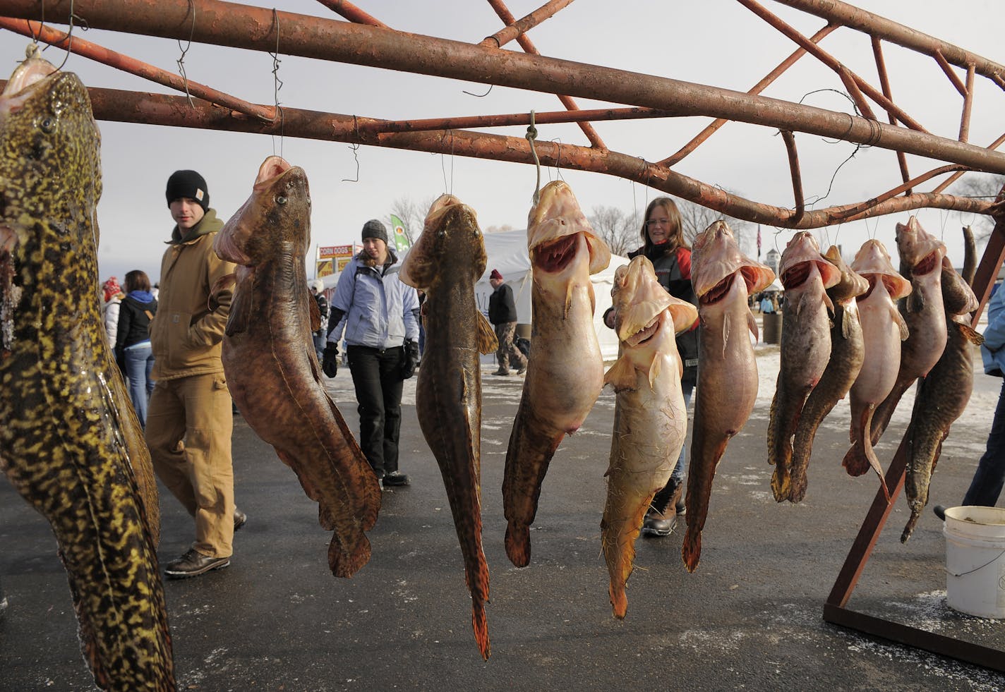 Elpout festival in Walker MN.