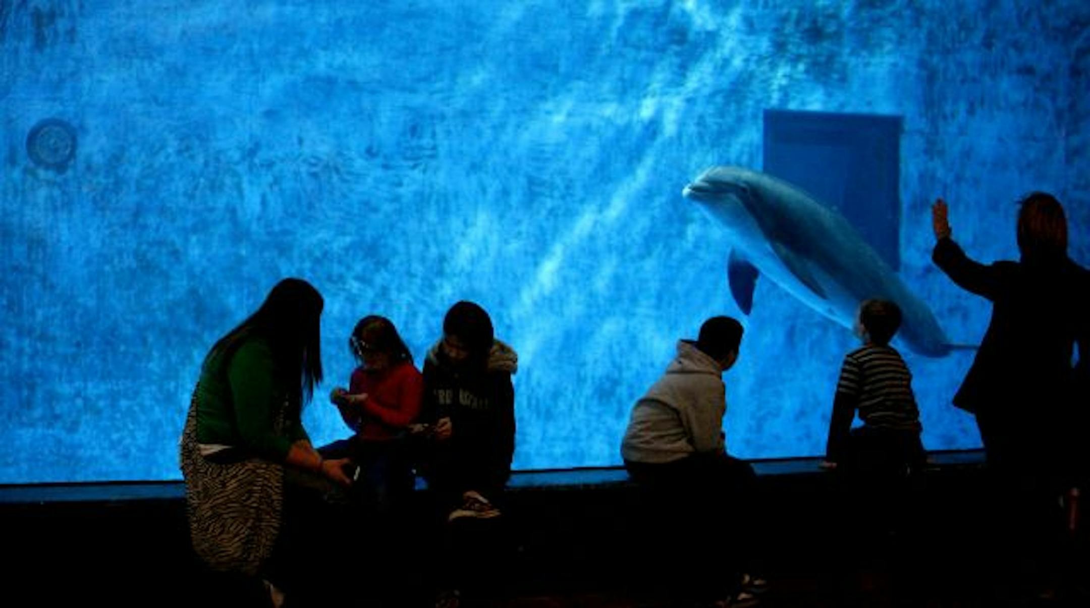 The zoo may be a valued amenity, but educational needs come first.