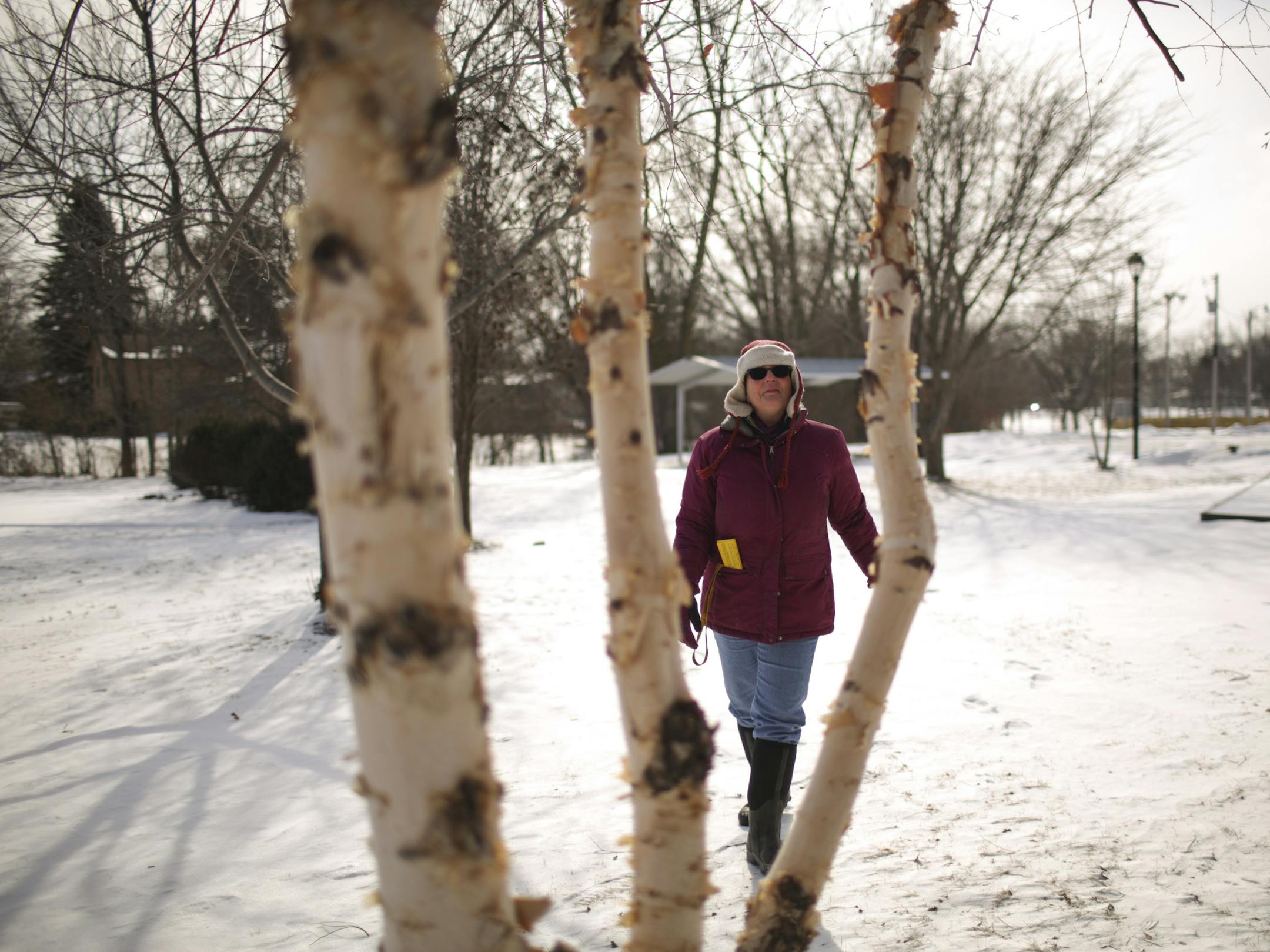 Joan Spence approached a river birch tree at Aurelia Park in Blaine Wednesday afternoon. ] JEFF WHEELER ï jeff.wheeler@startribune.com Now is the time homeowners can get a good deal on trees and shrubs through city and county sales. But how to choose? Where to plant? How to ensure success? Anoka Conservation District wetland and tree specialist Joan Spence led a tour of the trees in Aurelia Park in Blaine Wednesday afternoon, February 18, 2015. The small park has a surprising diversity of s