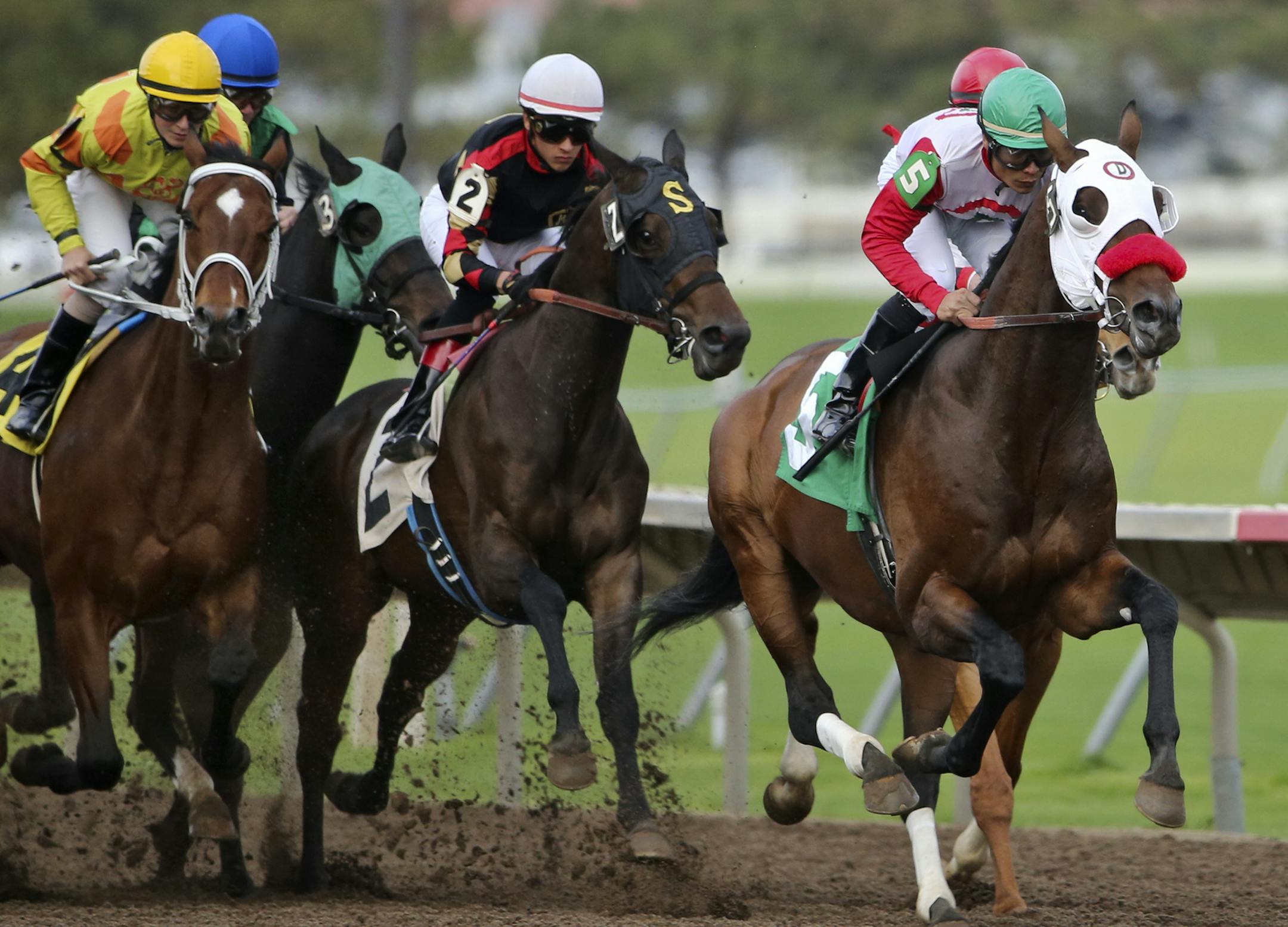 In the evening's first race jockey Jorge Carreno rode Ella's Kitten from start to finish in the lead for the win in the Canterbury Park Claiming during opening night at Canterbury Park Friday, May 16, 2014, in Shakopee, MN.](DAVIDJOLES/STARTRIBUNE) djoles@startribune Opening night at Canterbury Park Friday, May 16, 2014, in Shakopee, MN**Jorge Carreno,cq