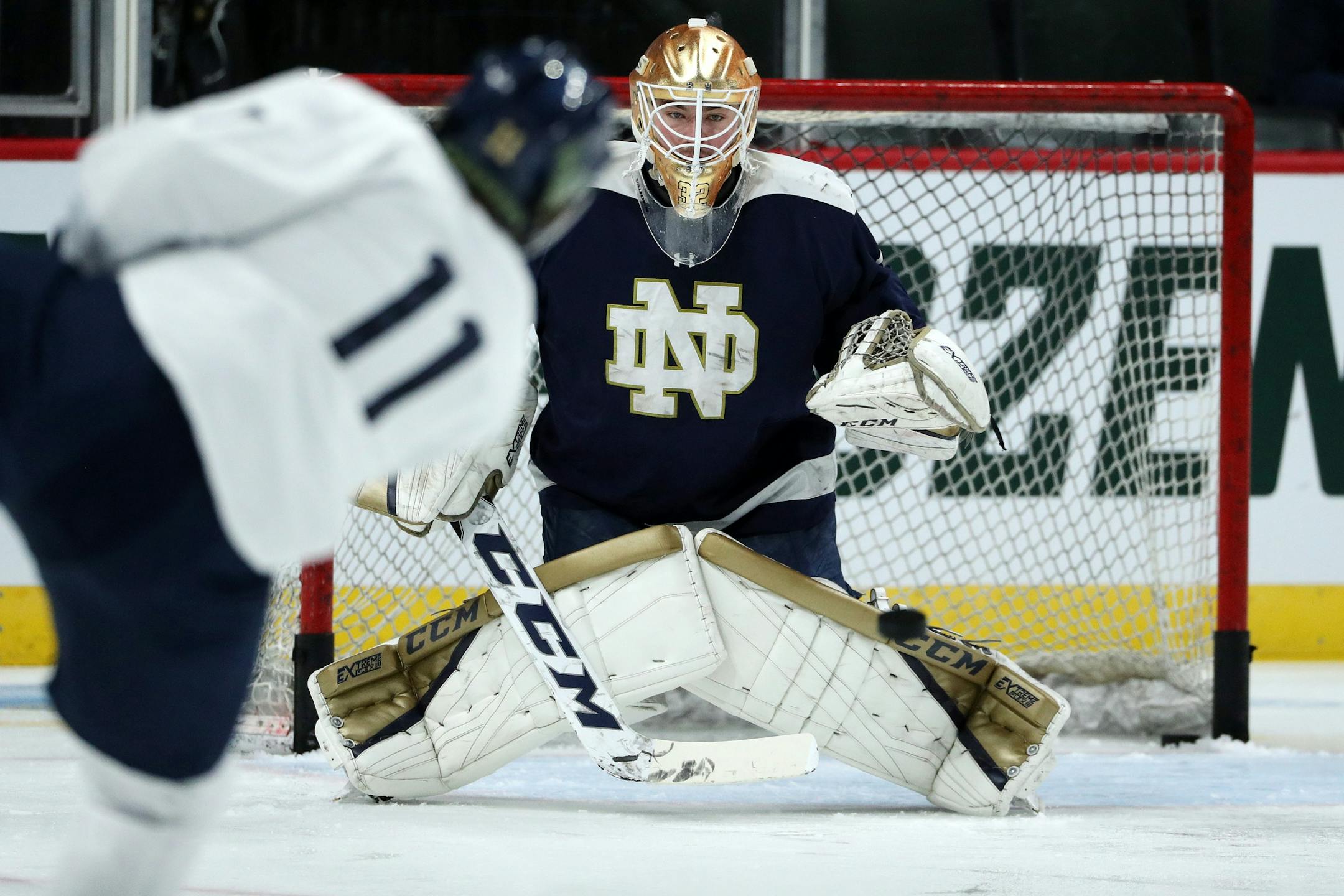 Notre Dame goaltender Cale Morris