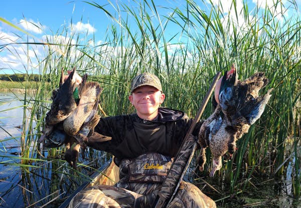Jackson Davis, 13, of Owatonna, has lived for duck hunting since he was 7. Last weekend, he took advantage of the experimental early teal season along