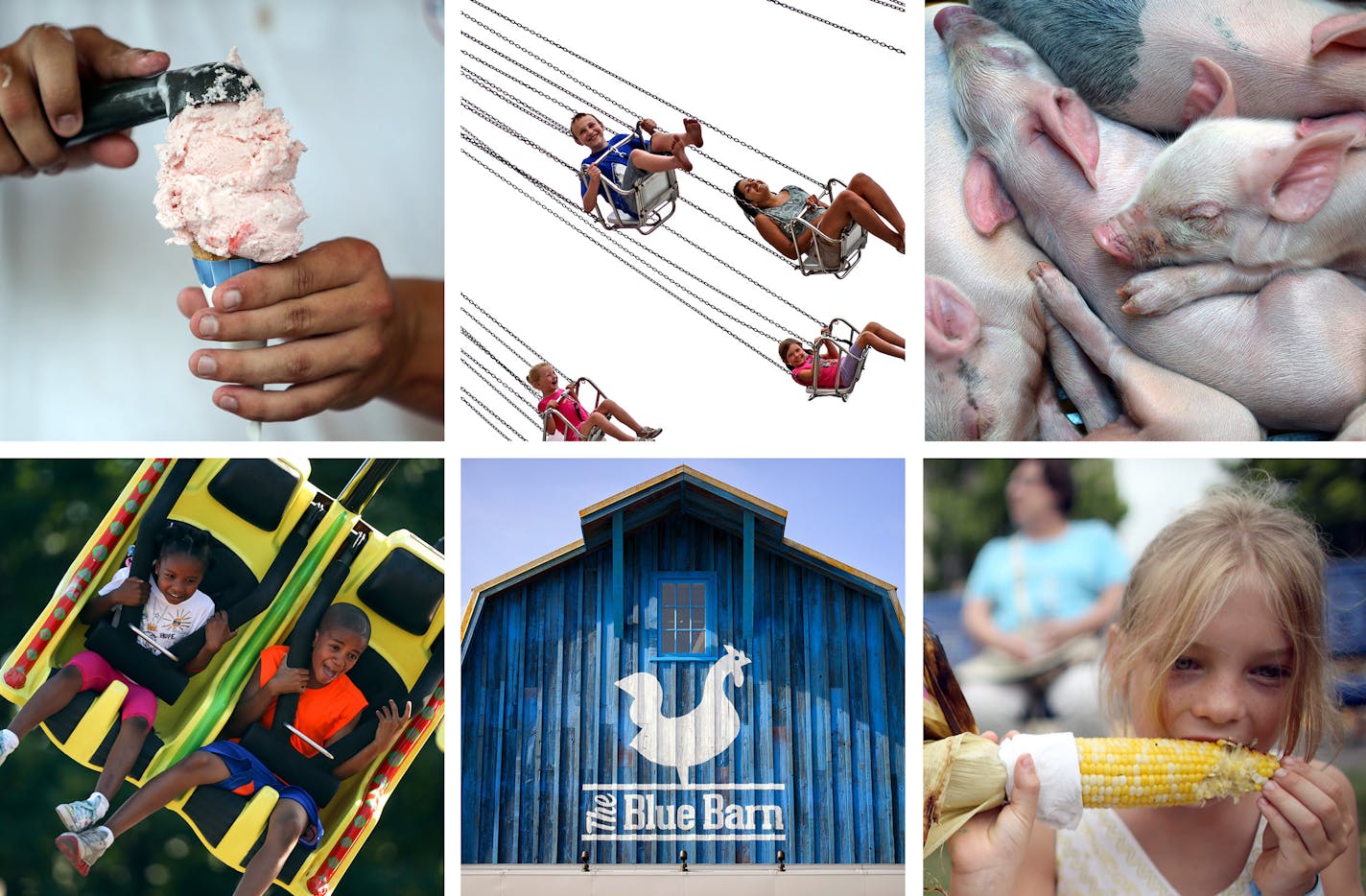 The Minnesota State Fair is filled with eye candy, ready made for Instagramming.