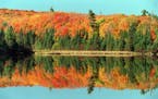 When Minnesota's fall colors are on full display, they are spectacular. This file photo was taken at a pond in Temperance River State Park in northeas
