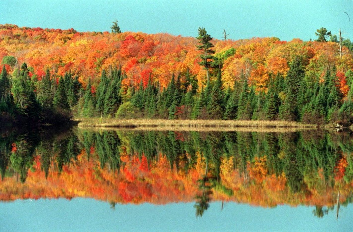 When Minnesota's fall colors are on full display, they are spectacular. This file photo was taken at a pond in Temperance River State Park in northeastern Minnesota.