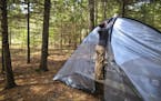 Suzanne Jost of Eden Prairie sent up a tent for a weekend camping trip with her husband at Jay Cooke State Park in Carlton, Minn. on Friday, May 24, 2