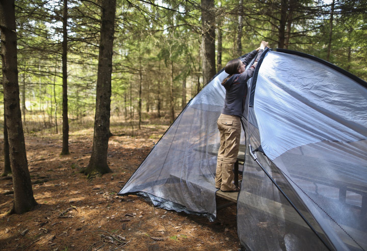 Suzanne Jost of Eden Prairie sent up a tent for a weekend camping trip with her husband at Jay Cooke State Park in Carlton, Minn. on Friday, May 24, 2013. The Jost's said they we looking forward to this holiday weekend camping trip because they went camping nearby two weeks ago and it was like winter camping with freezing temperatures. ] (RENEE JONES SCHNEIDER * reneejones@startribune.com)