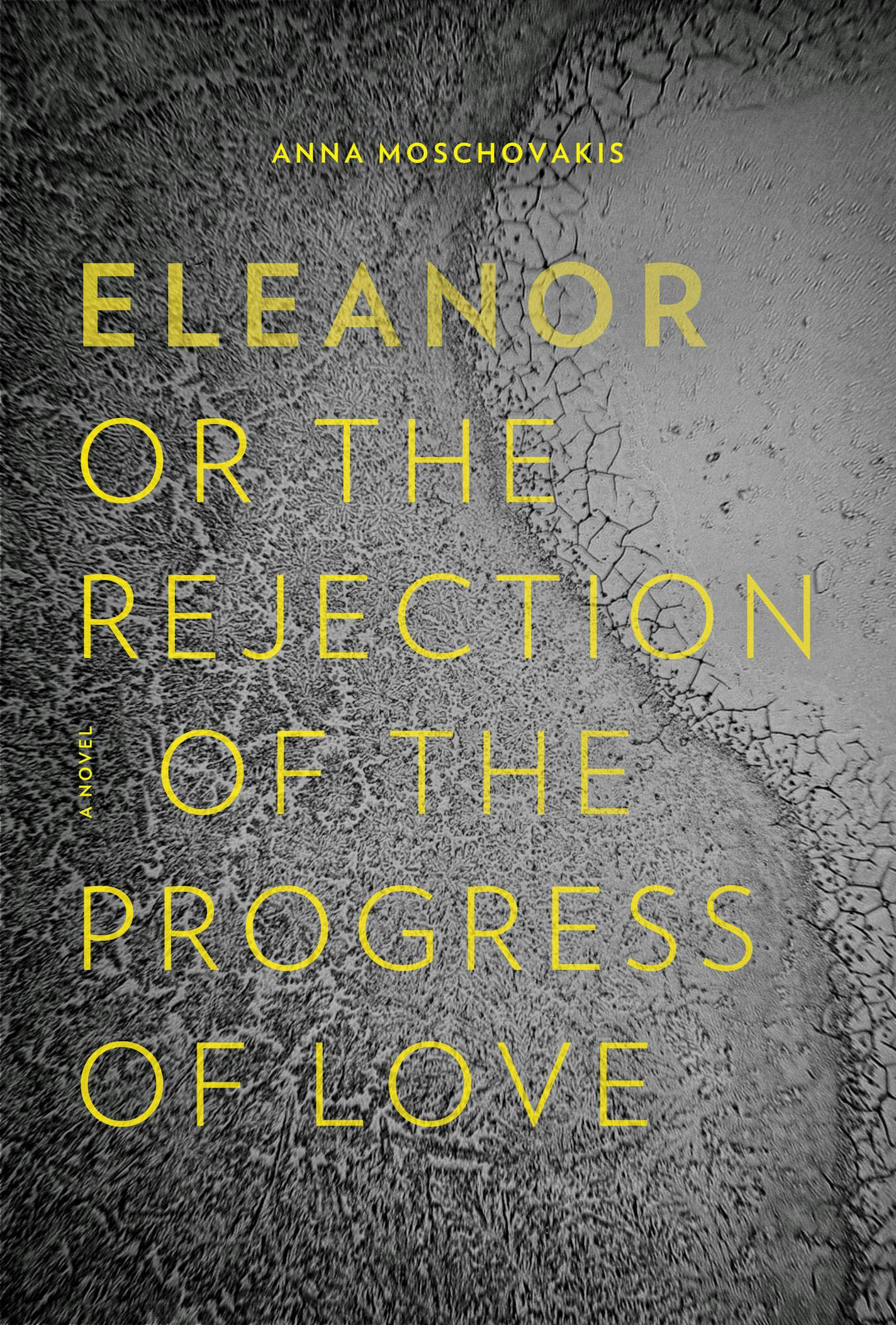 Eleanor, or, the Rejection of the Progress of Love, by Anna Moschovakis