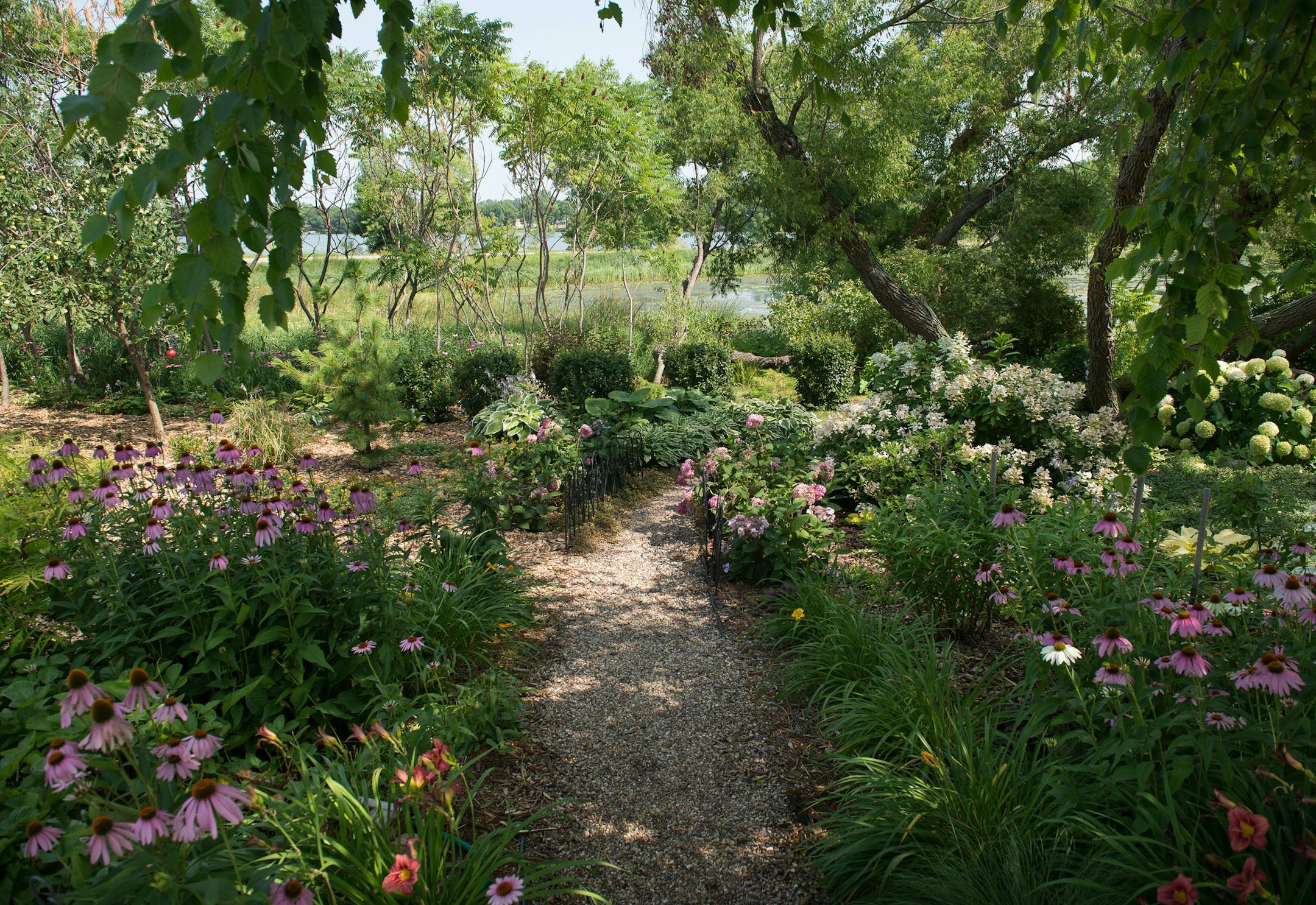 The common area that Dan and Nancy Engebretson's garden next to their home in Elysian, Minnesota is in full bloom on July 31, 2014. [ Angela Jimenez/Special to the Star-Tribune angelajime@gmail.com Assignment #20035606A_ SLUG: ENGEBRETSON100114_ EXTRA INFORMATION: Since 2006, the Engebretsons have designed and tended to their own garden, and have transformed the common space near their home into a landscaped, shared garden space in the Lakeview Manor Townhome Association.