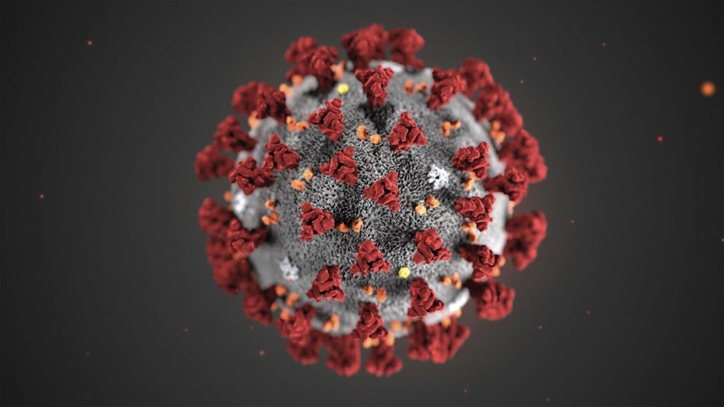 This illustration provided by the Centers for Disease Control and Prevention in January 2020 shows the 2019 Novel Coronavirus. This virus was identified as the cause of an outbreak of respiratory illness first detected in Wuhan, China.