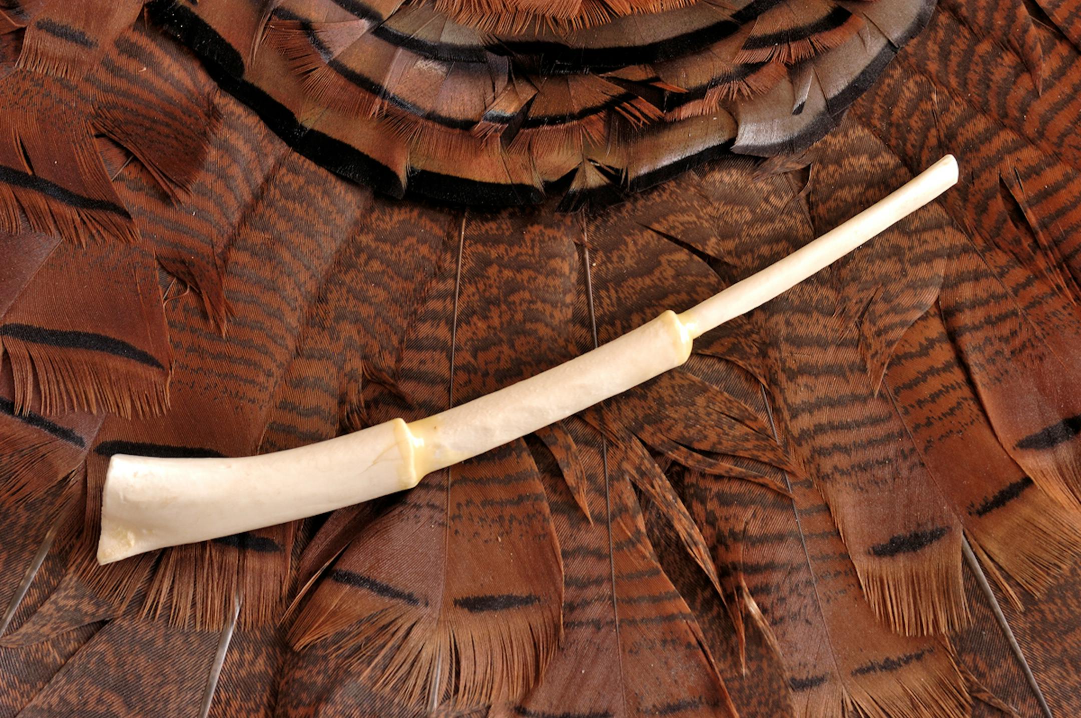 A finished wingbone turkey call ready to lure a big gobbler.