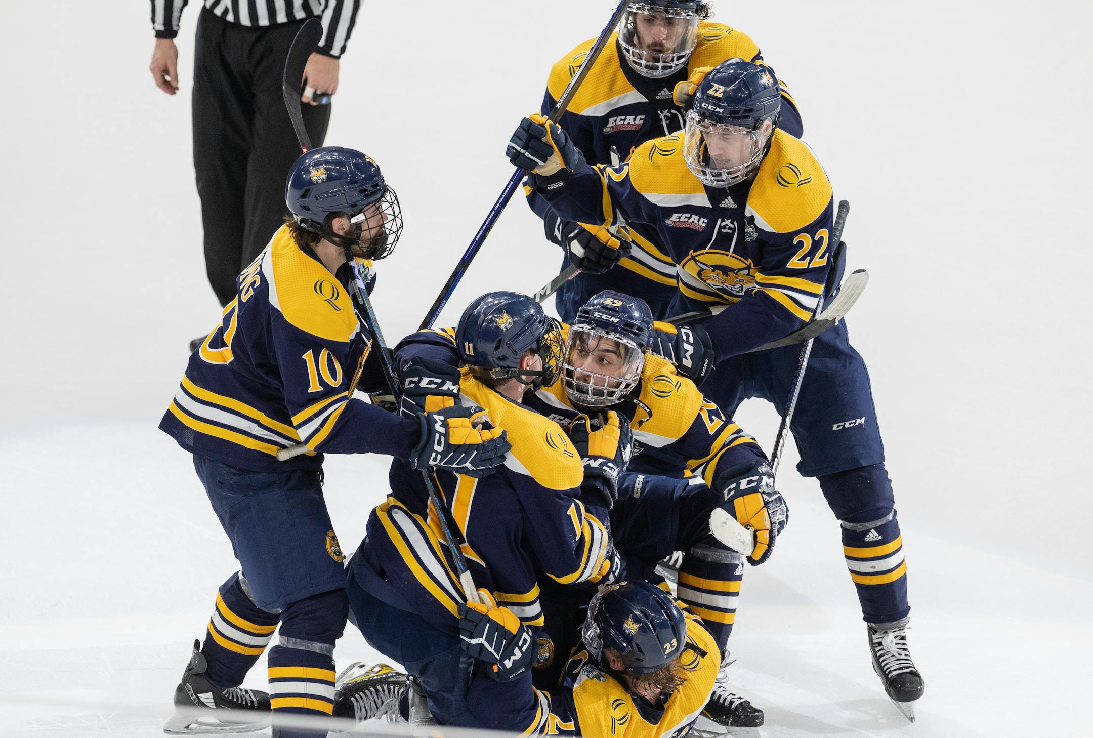 Collin Graf (11) of Quinnipiac celebrates after scoring a goal in the third period.