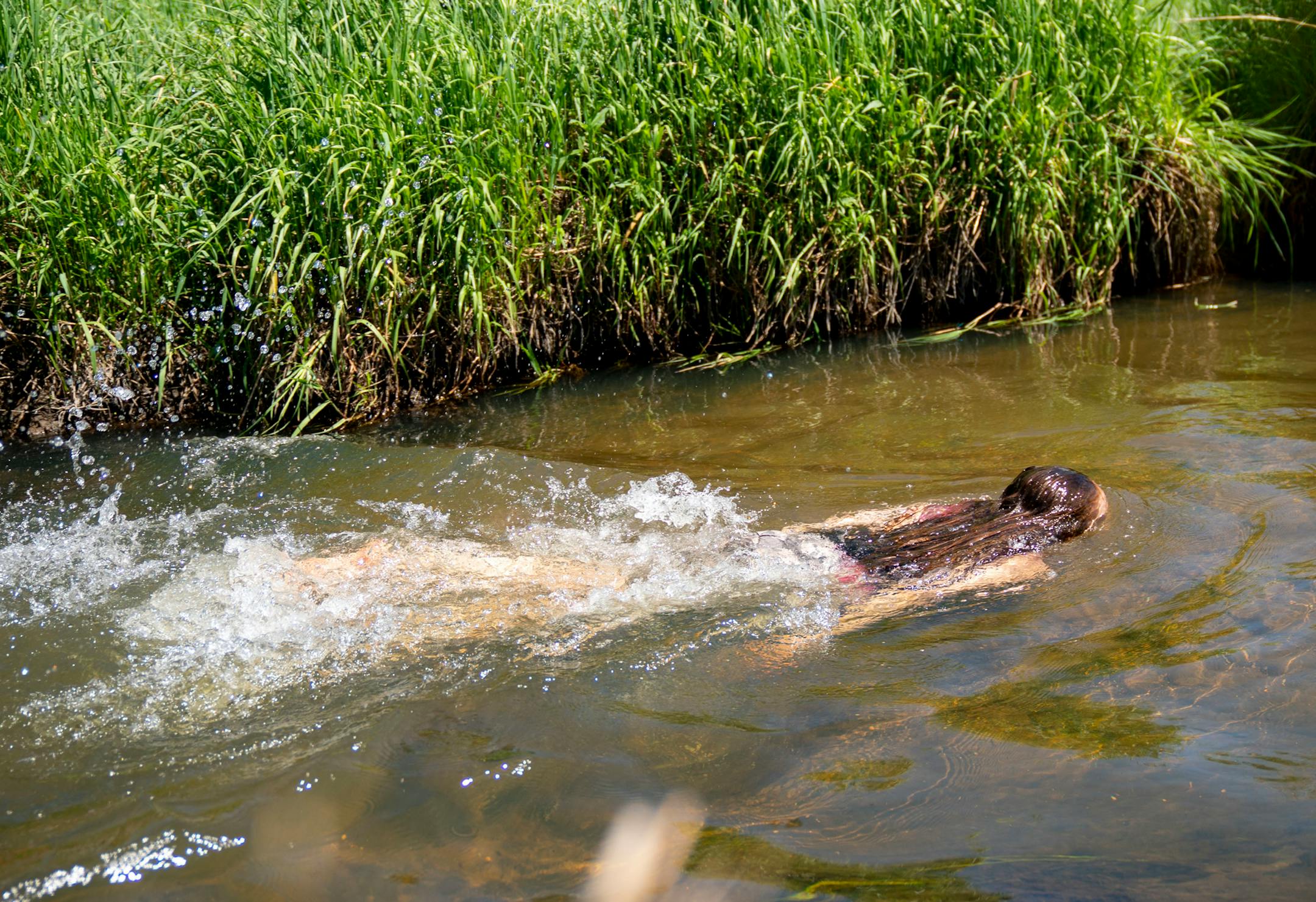 A girl swam in the Mississippi River near an Enbridge construction site and the headwaters of the river.