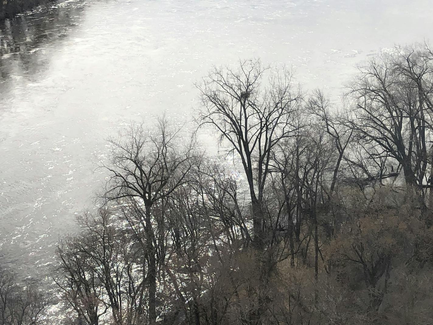 Look closely, that's how an eagle nest looks from 150 feet in the air.