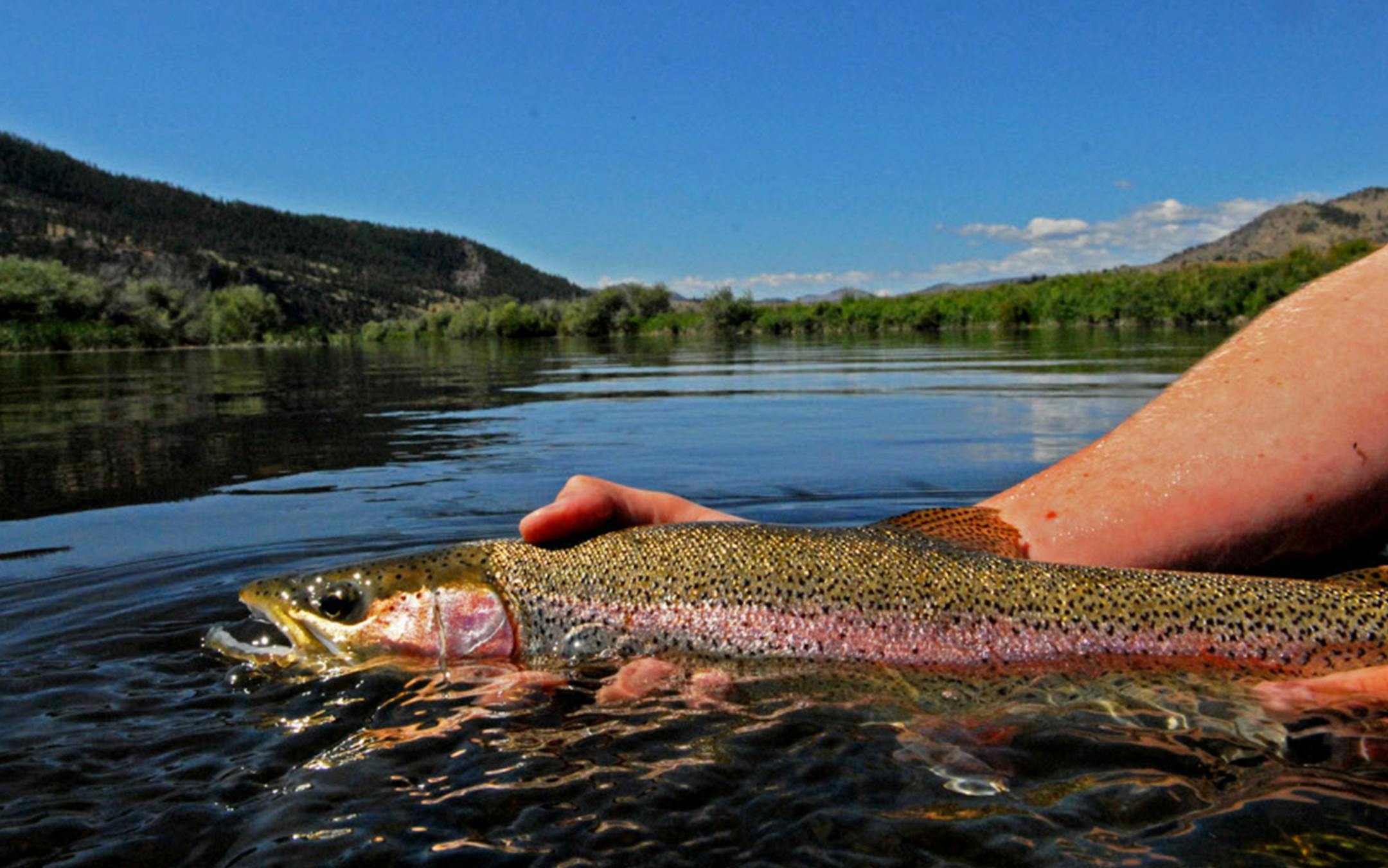 Ducks Unlimited unwittingly became embroiled in a stream-access debate in Montana when the organization fired one of its mangazine columnists over comments he wrote about a major DU supporter. Widely considered apublic relations disaster by DU to fire the writer, conflicts like it nonetheless aren't uncommon among conservation supporters, whose other interests often vary widely. ORG XMIT: MIN2016031812355933
