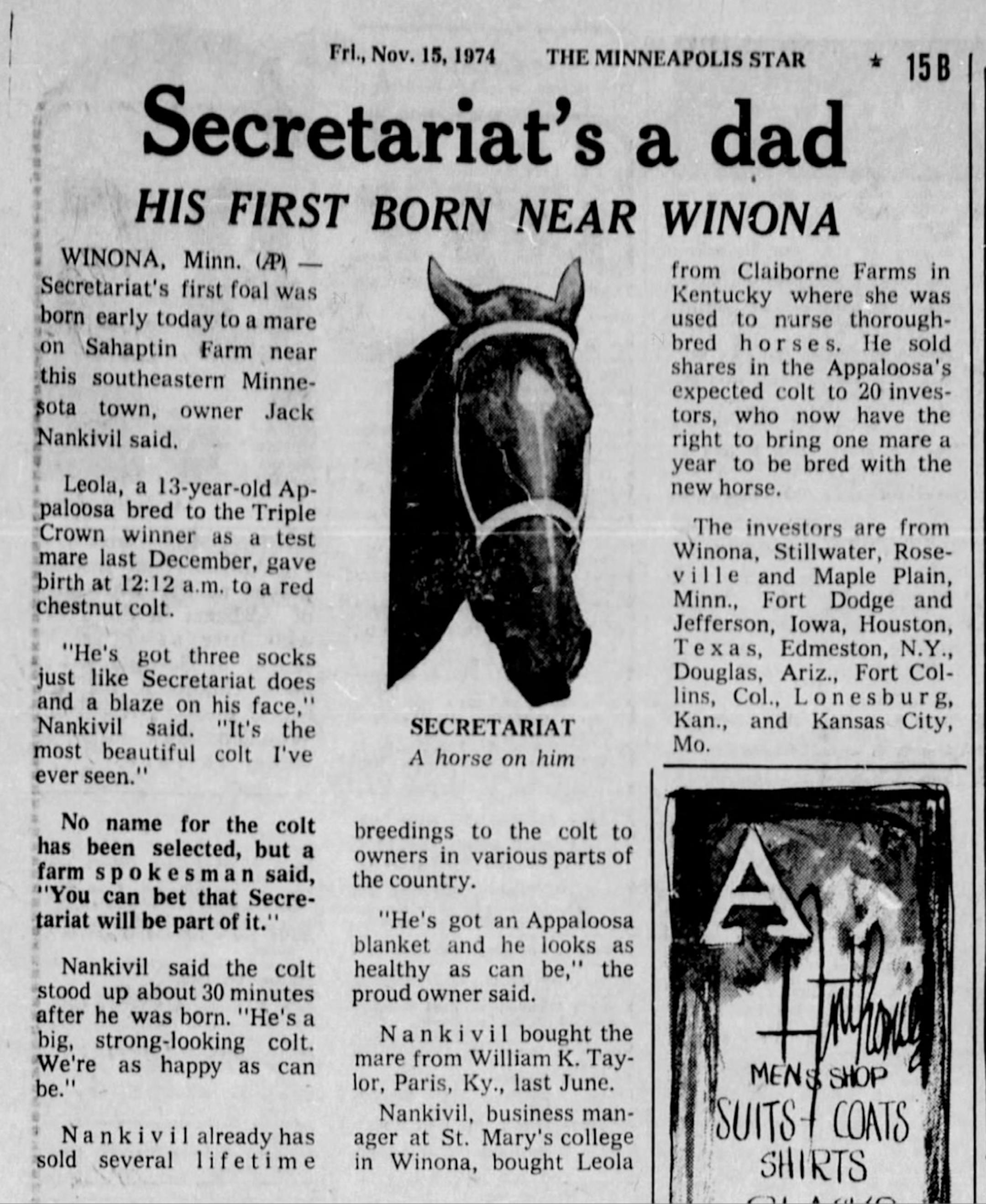 The Friday, November 15, 1974 Minneapolis Star article featuring Secretariat.