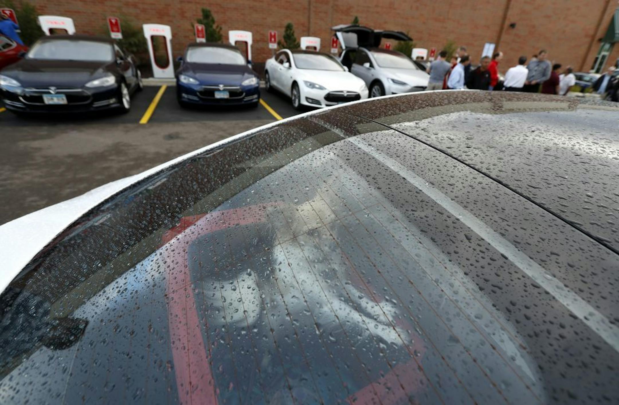 Laice a 4 year-old papillon dog sat in the back seat of her owners Tesla , as other drives charged up there cars at the Hy-Vee storeTuesday September 13, 2016 in Oakdale, MN.