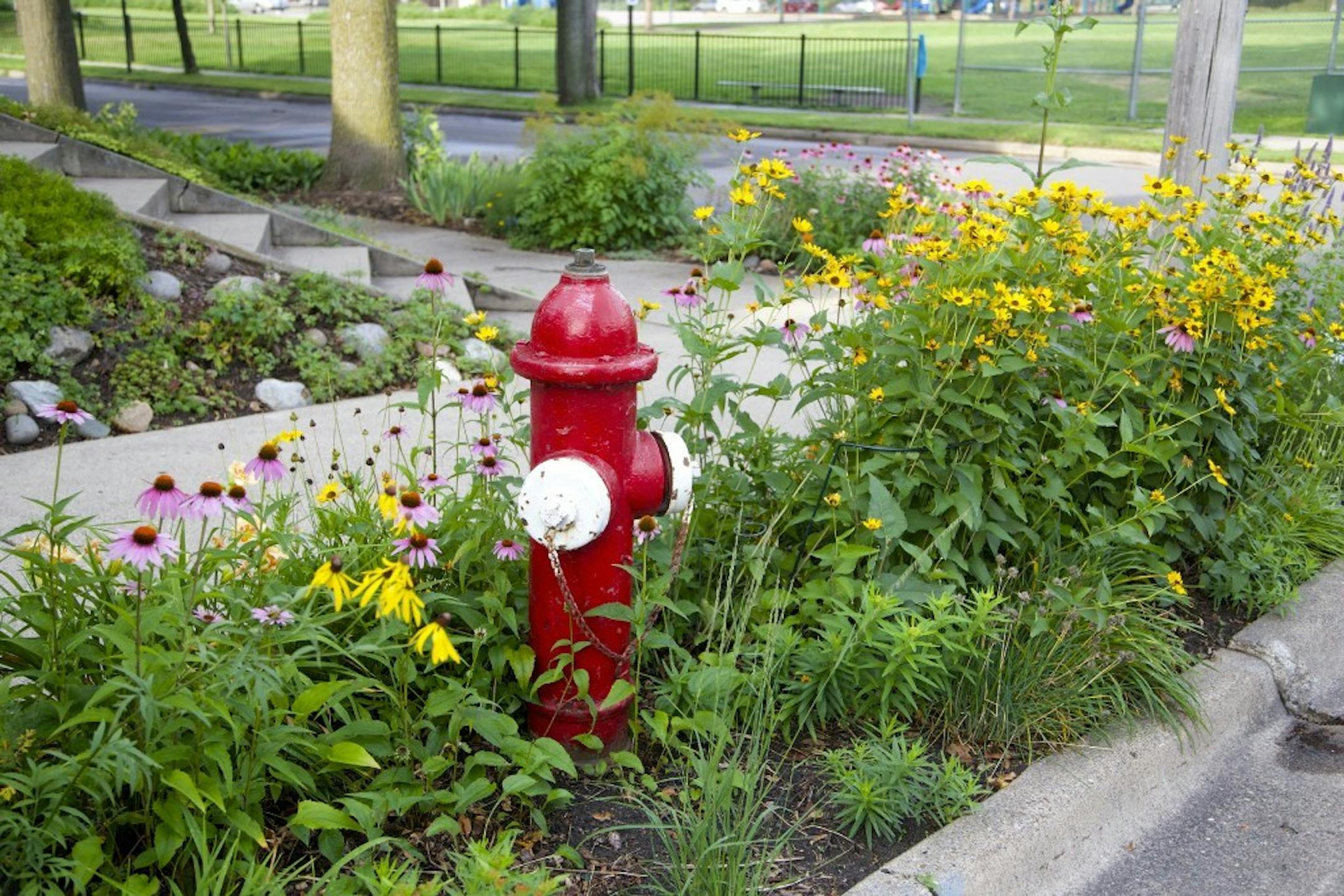 Prettying up a boulevard isn’t a bad idea; just make sure you know the rules for your city.