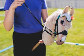 Hobby horse competitions have become a big deal in Finland.