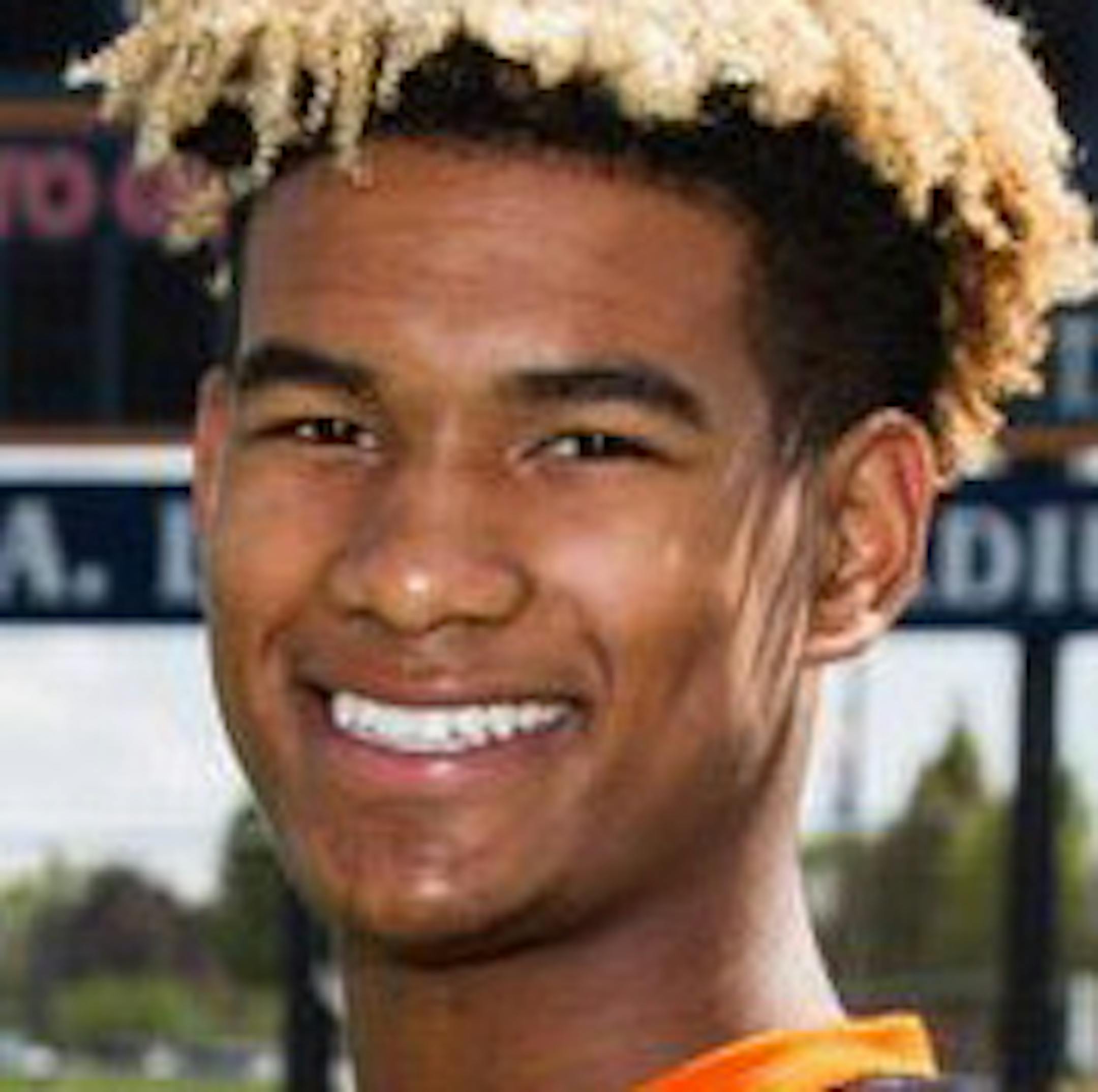 Phoenix Sproles, Cooper, all-metro first team defense ORG XMIT: MIN1711201342446614