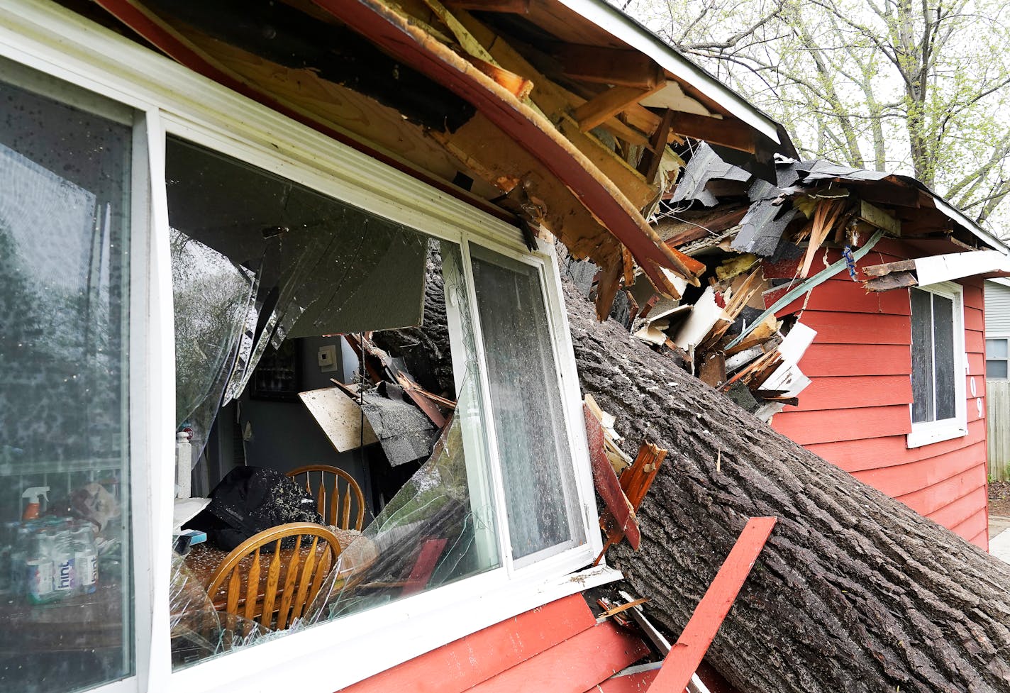 A tree fallen through a home.